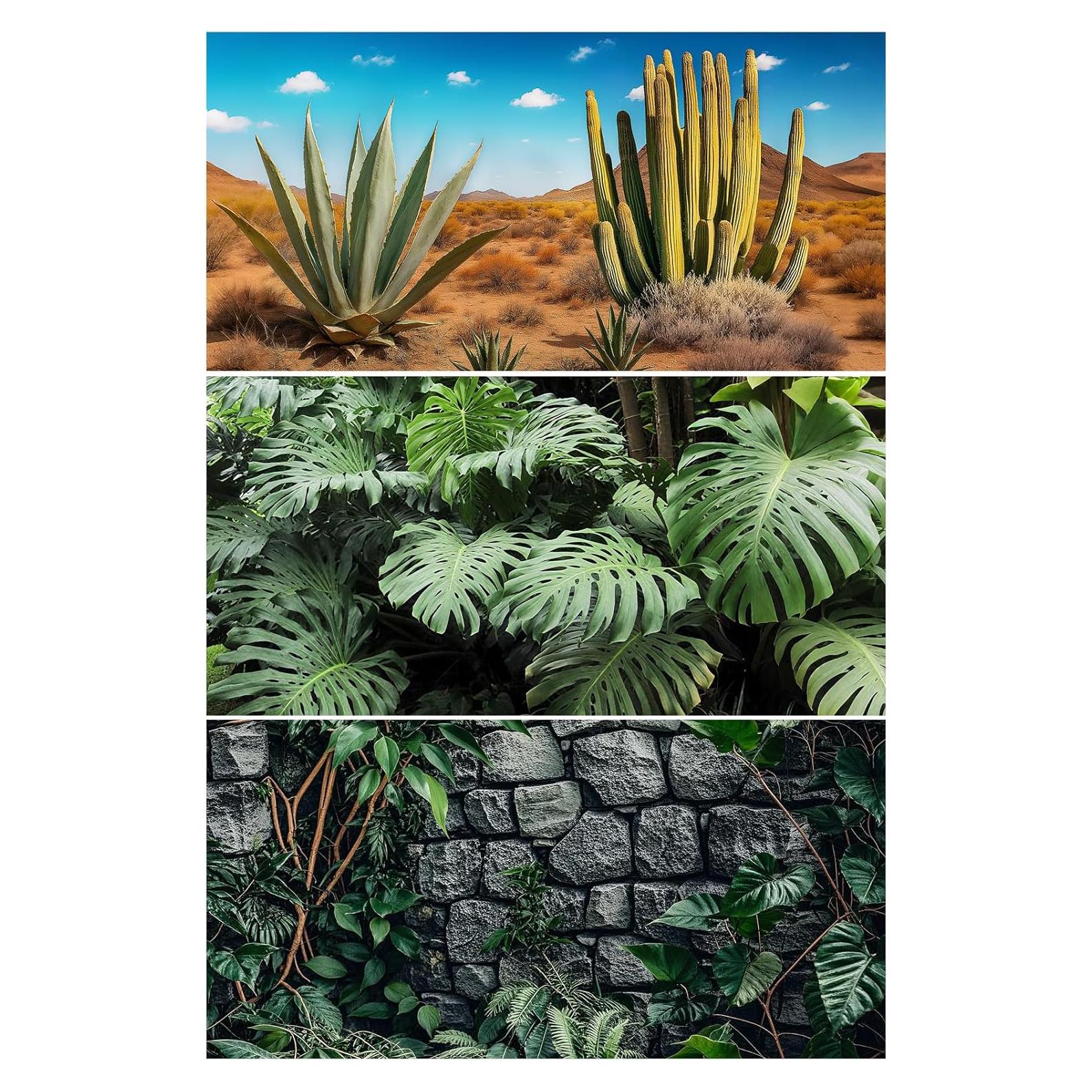 Fondo para Terrario 3 Pcs Helidrago 91x46 cm Estilo Desierto