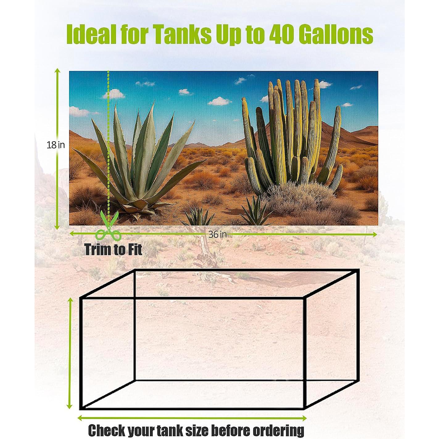 Fondo para Terrario 3 Pcs Helidrago 91x46 cm Estilo Desierto