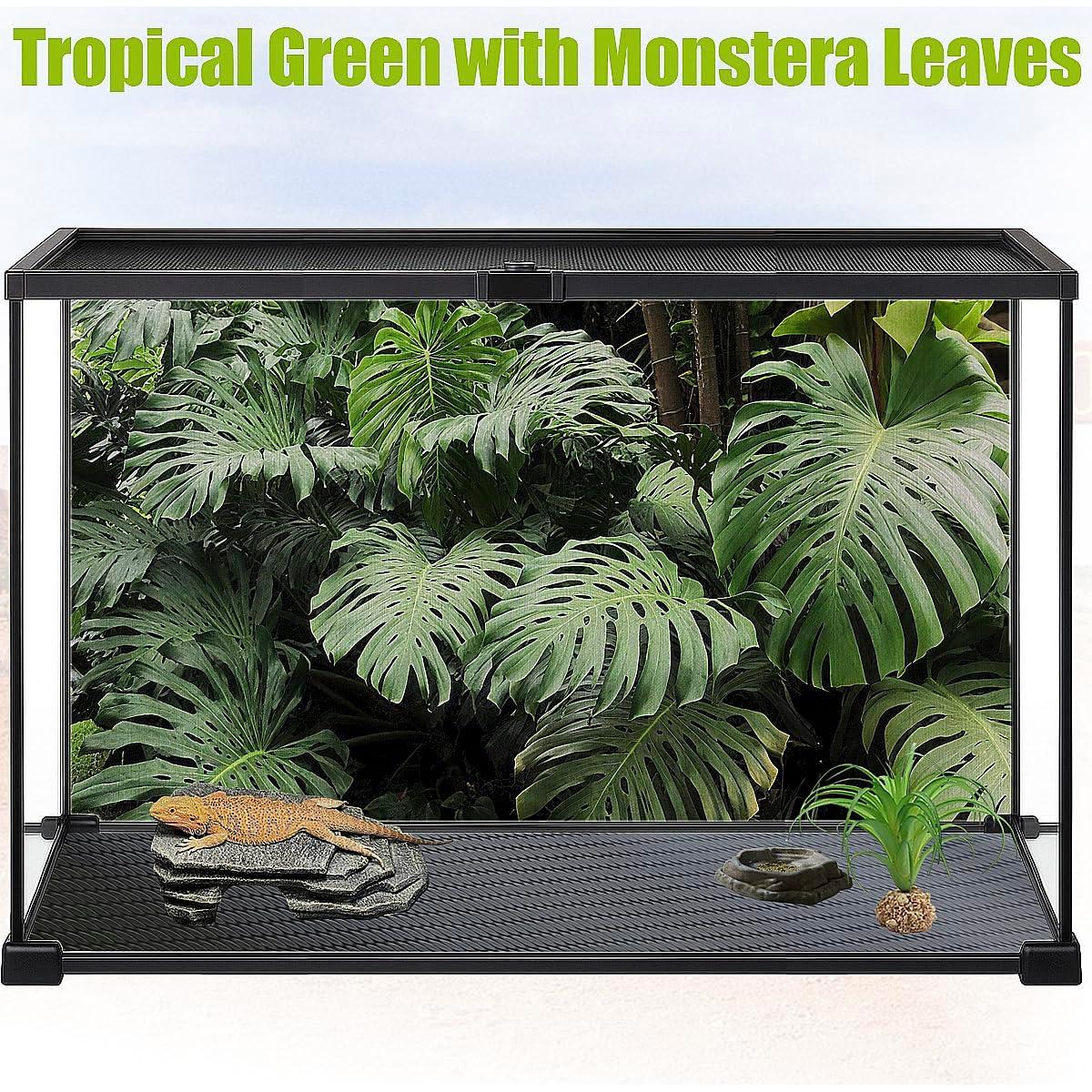 Fondo para Terrario 3 Pcs Helidrago 91x46 cm Estilo Desierto