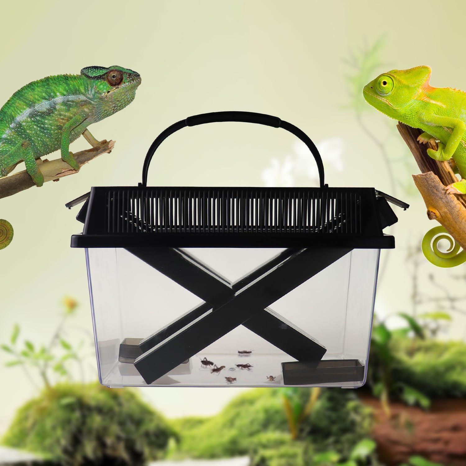 Cuidador de Grillos SORWATEE para Reptiles con Accesorios