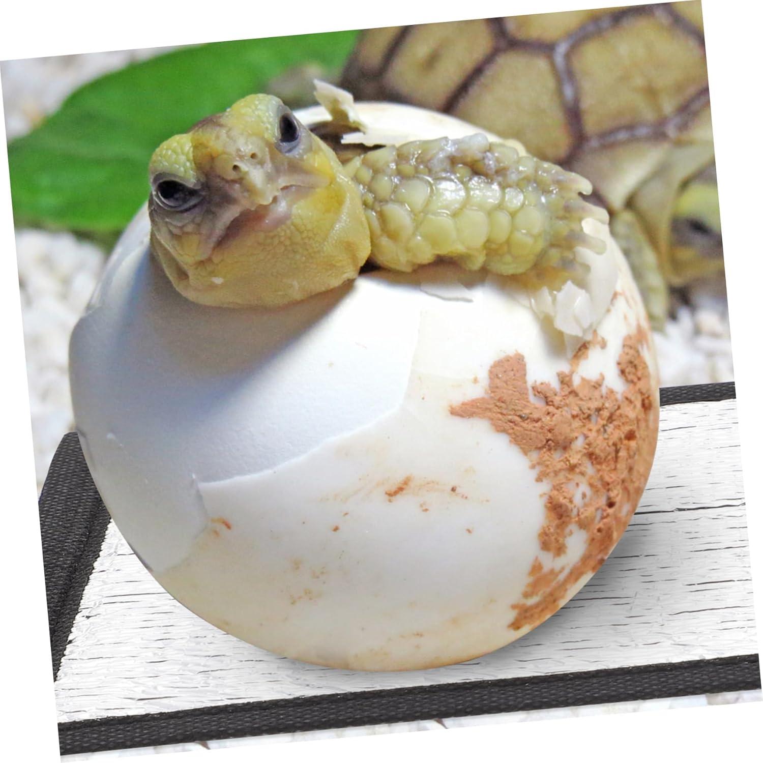 Alfombrilla Térmica Autocalentable MERRYHAPY 30x30cm para Mascotas