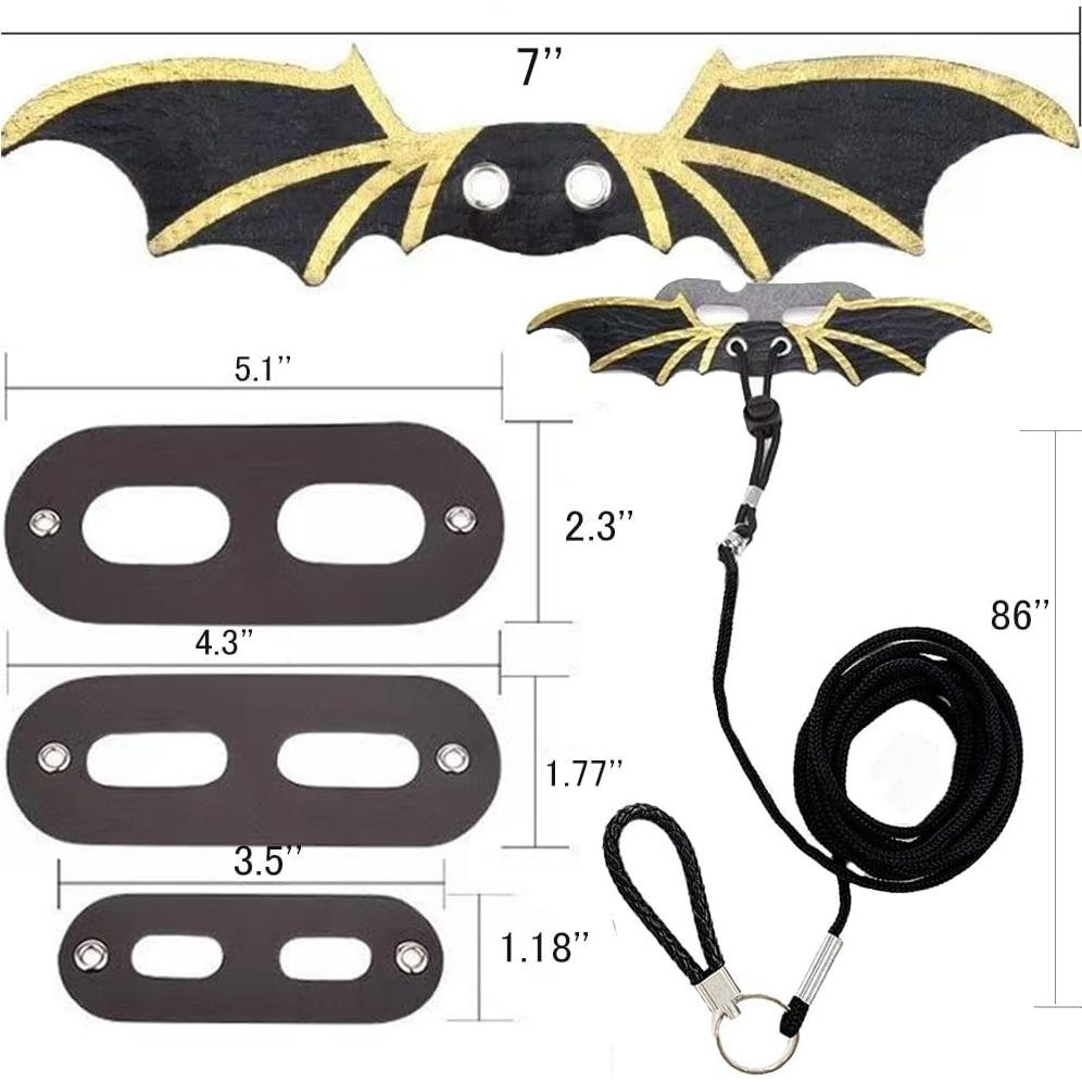 Conjunto Arnés y Correa para Dragón Barbudo SLSP - Ajustable