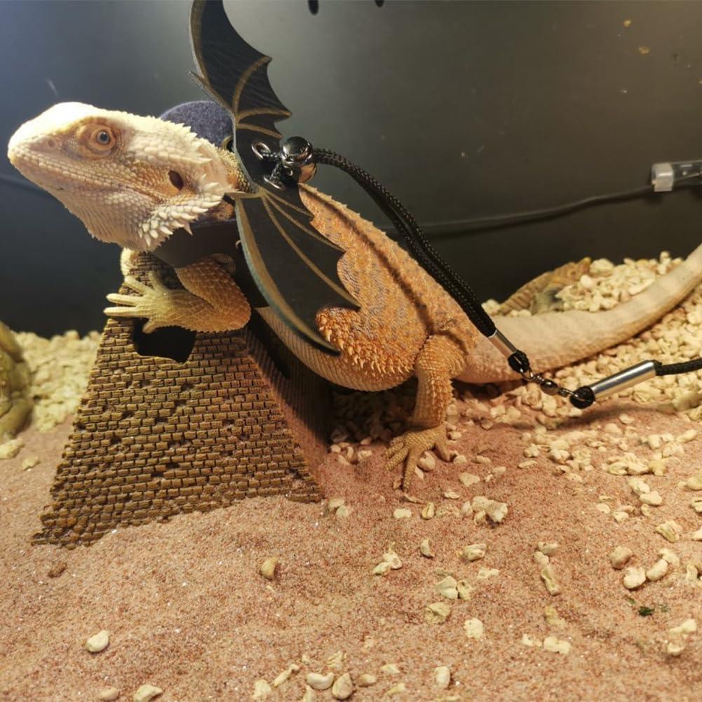 Conjunto Arnés y Correa para Dragón Barbudo SLSP - Ajustable