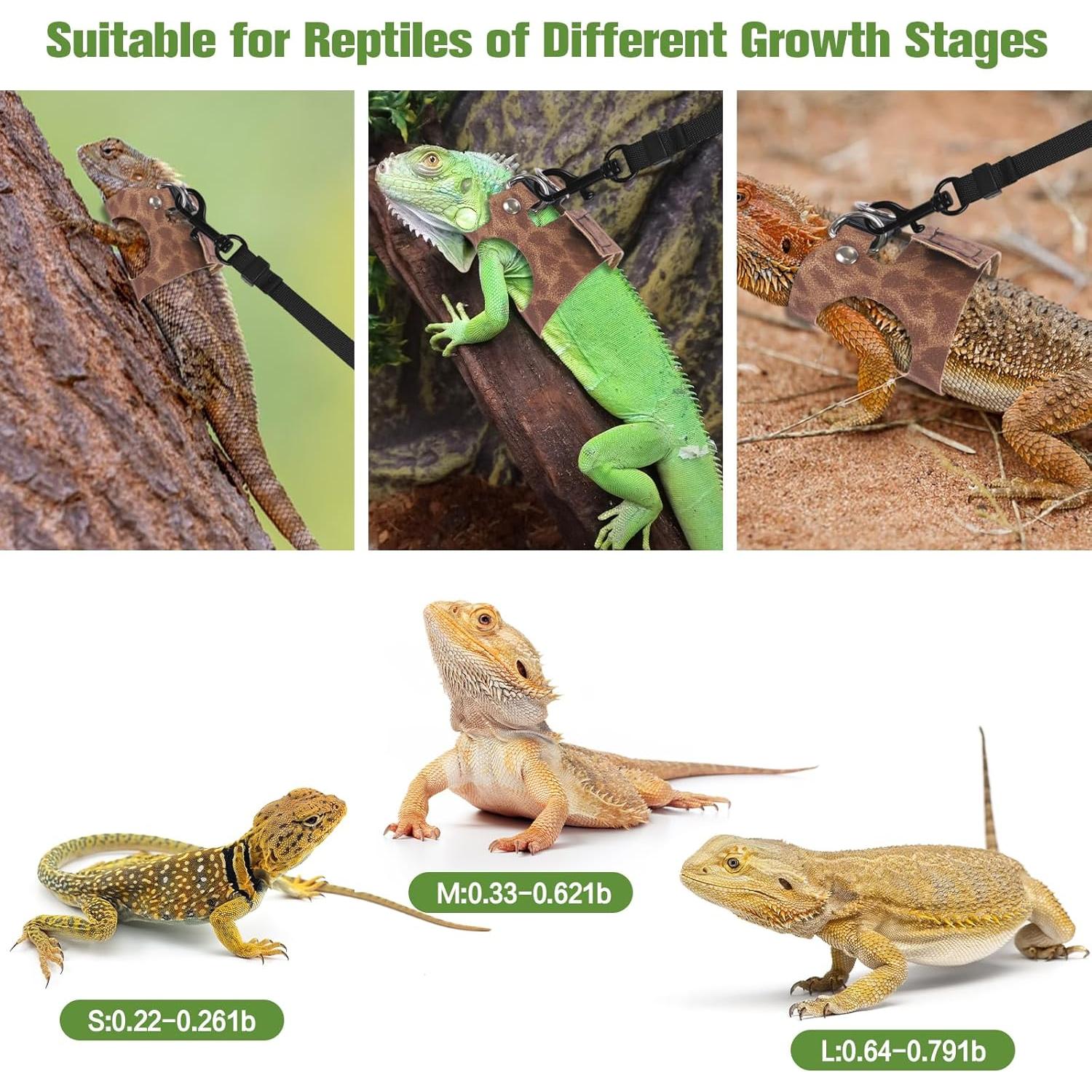 Arnés y Correa para Reptiles Fnaobai 3 Tamaños Leopardo