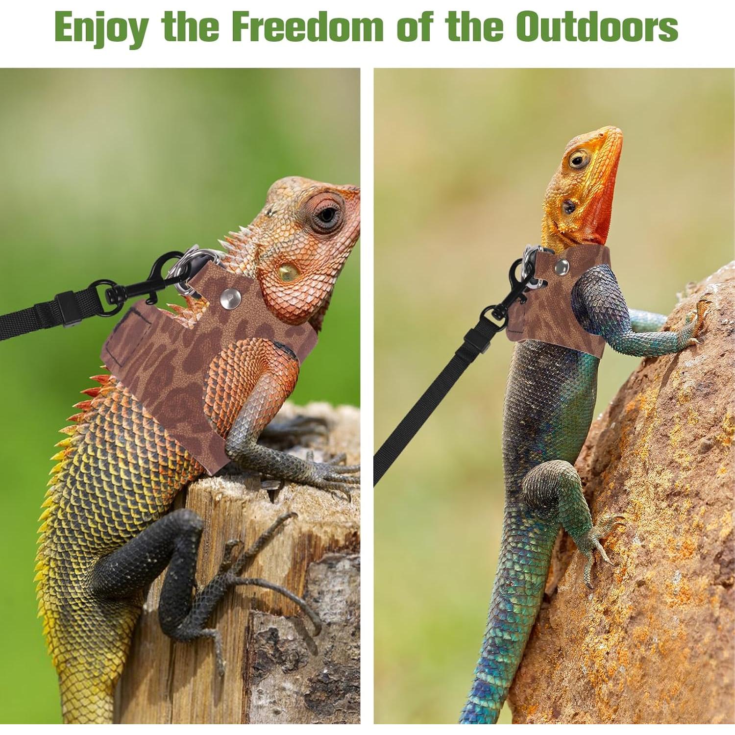 Arnés y Correa para Reptiles Fnaobai 3 Tamaños Leopardo