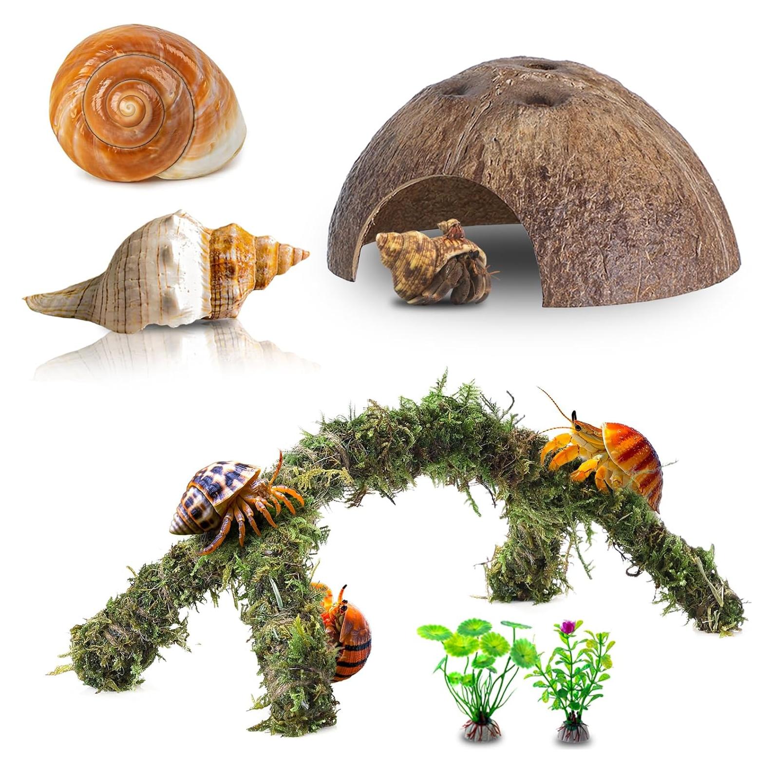 Accesorios para Cangrejo Ermitaño RUNANIA 6 Pcs Musgo Natural