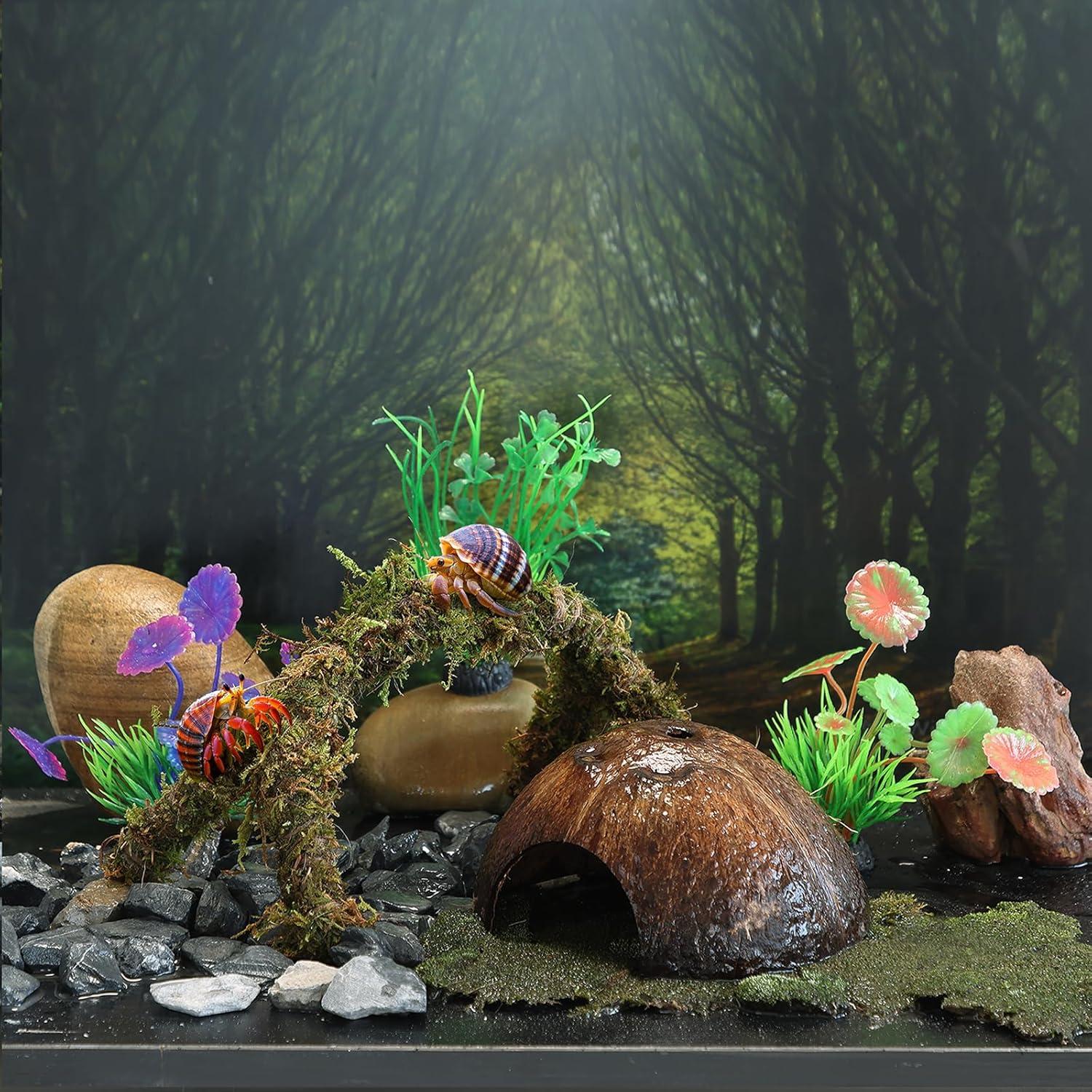 Accesorios para Cangrejo Ermitaño RUNANIA 6 Pcs Musgo Natural