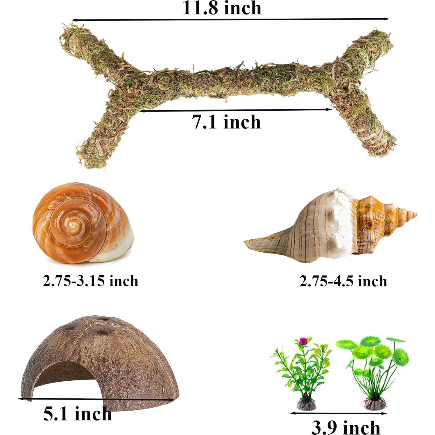 Accesorios para Cangrejo Ermitaño RUNANIA 6 Pcs Musgo Natural