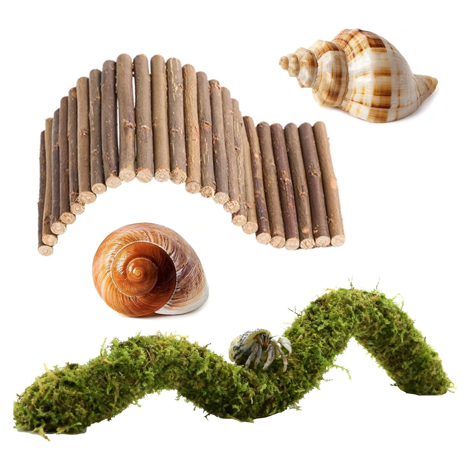 Accesorios para Cangrejo Ermitaño COSOC - 4 Piezas Naturales