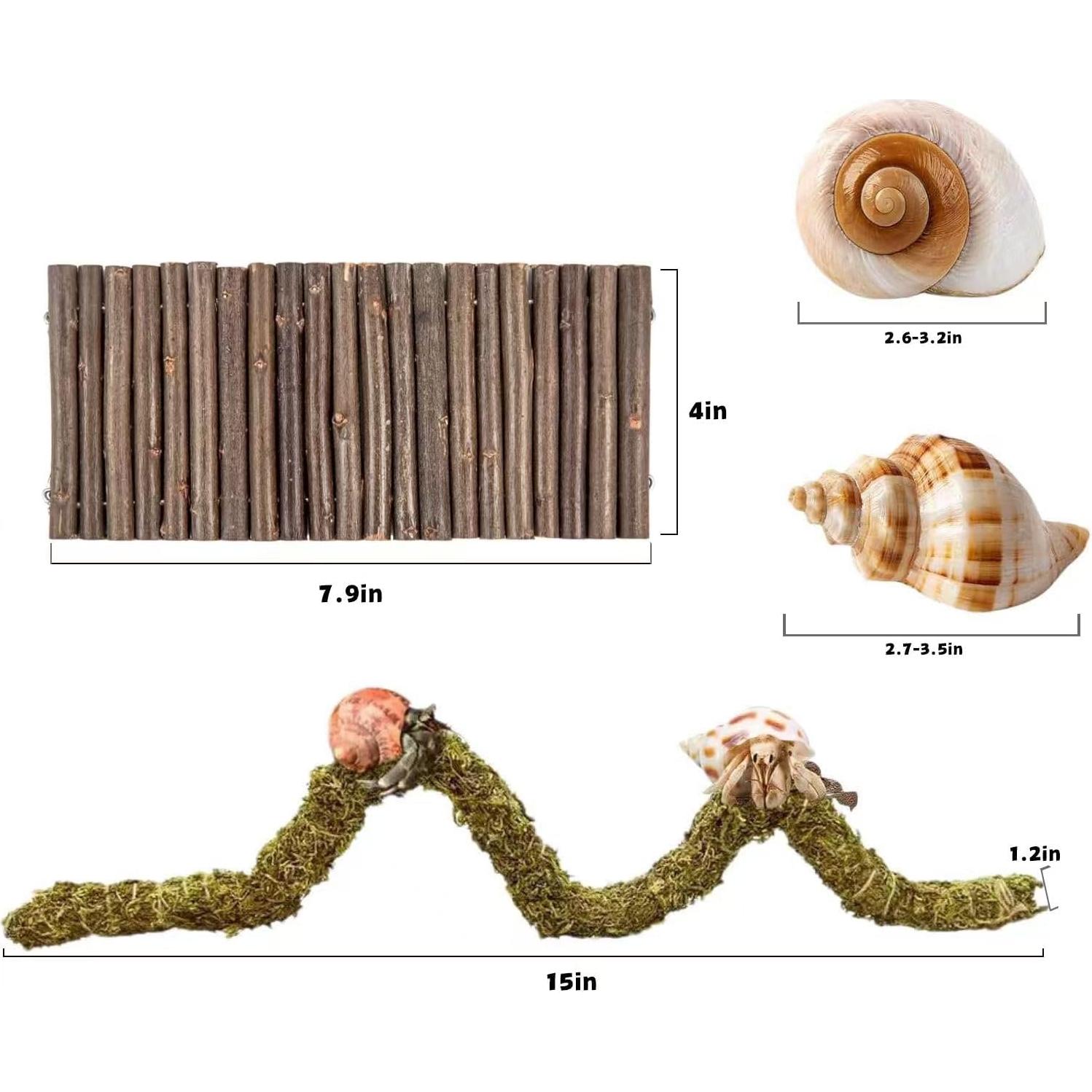 Accesorios para Cangrejo Ermitaño COSOC - 4 Piezas Naturales