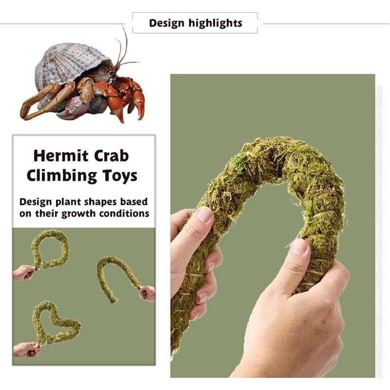 Accesorios para Cangrejo Ermitaño COSOC - 4 Piezas Naturales