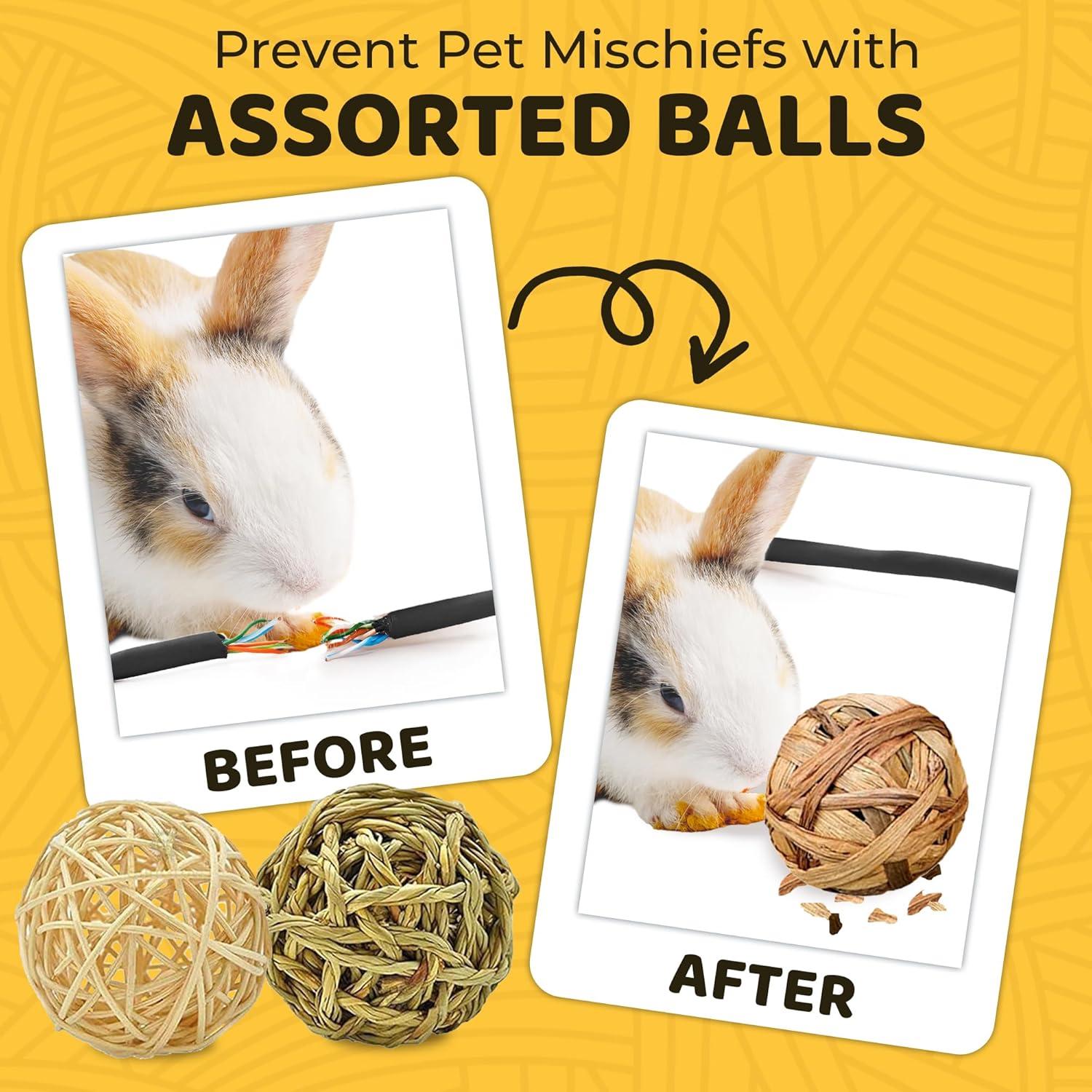 Bolas Masticables SunGrow para Conejos y Gatos - 3 Pcs