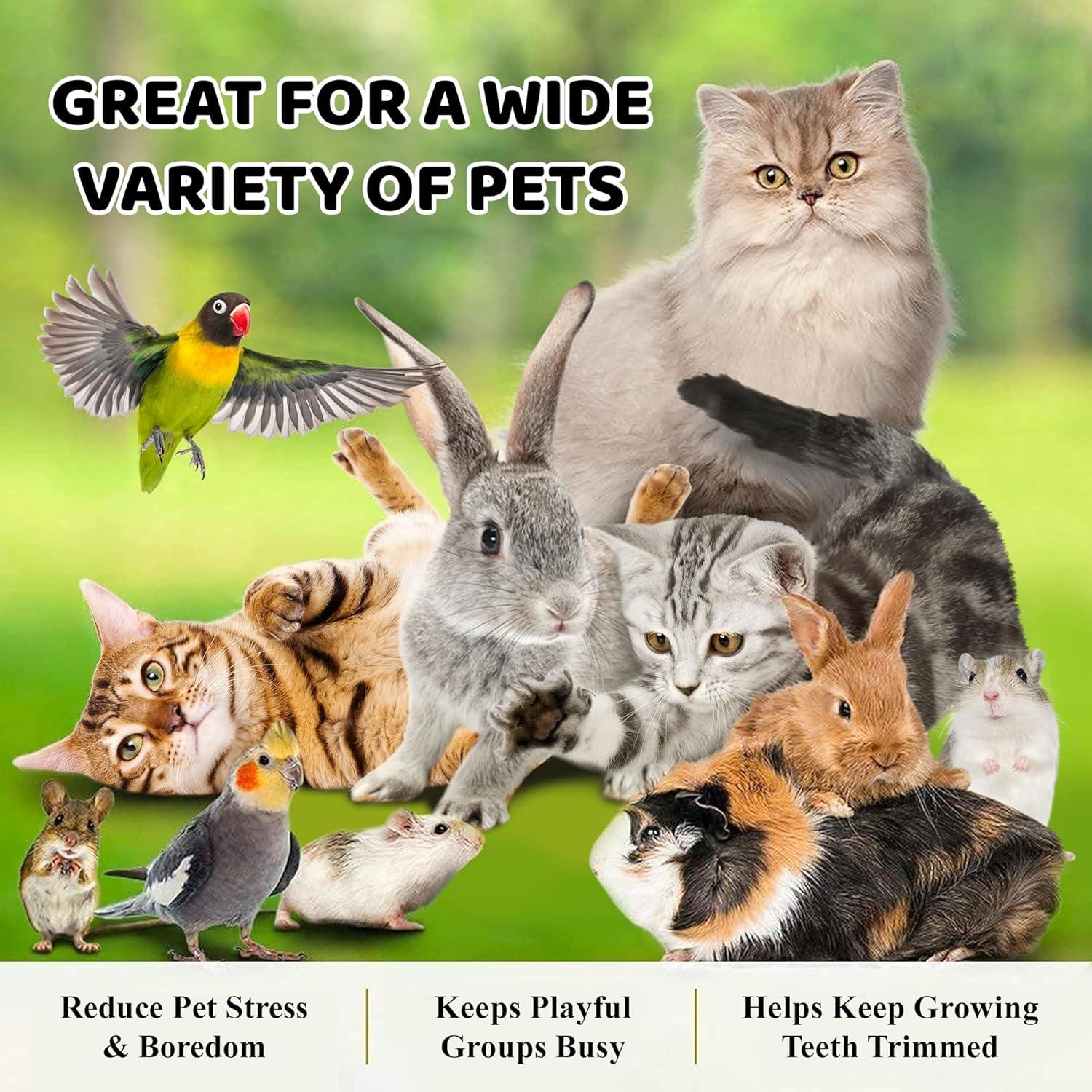 Bolas Masticables SunGrow para Conejos y Gatos - 3 Pcs