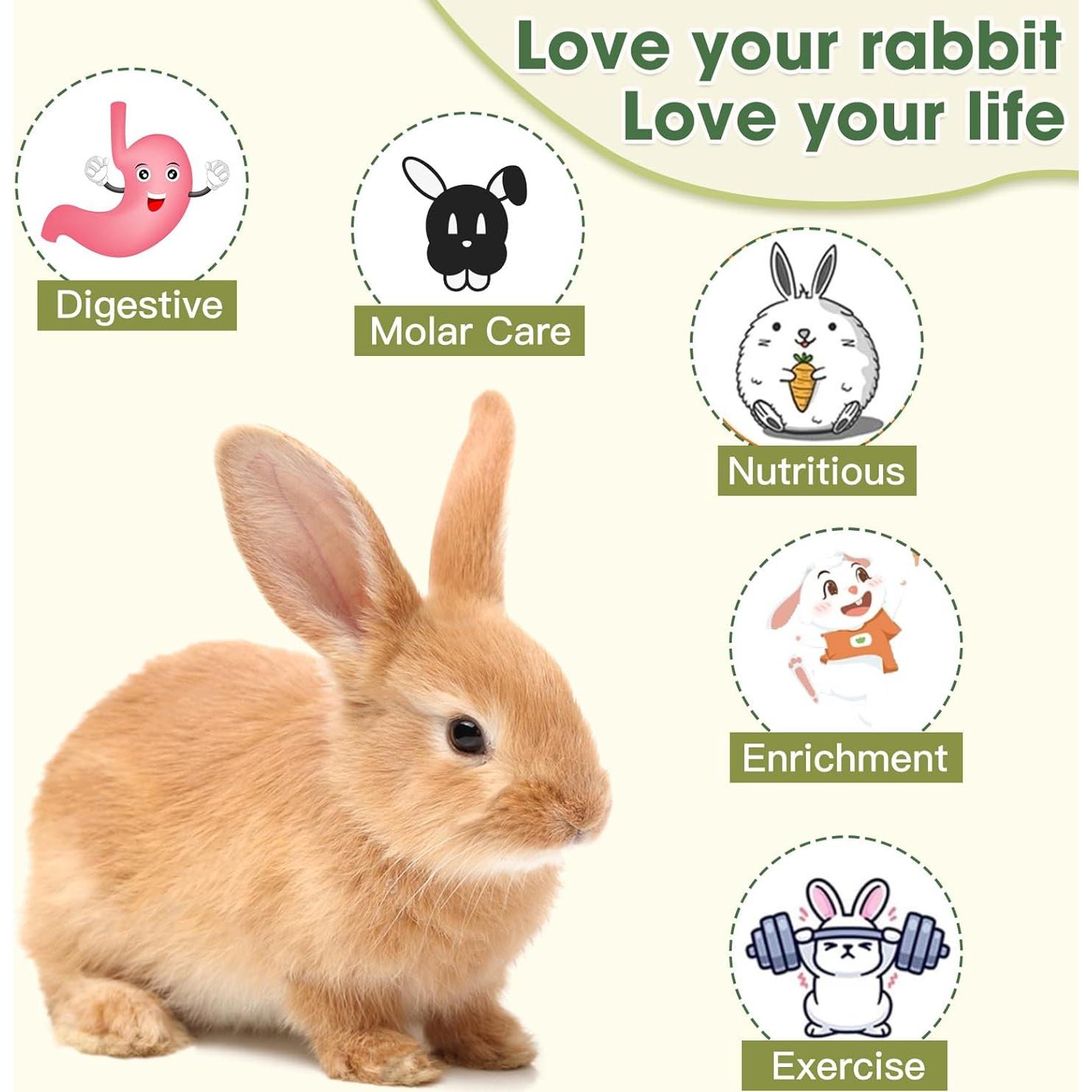 Cesta de Juguete Masticable Jorewood para Roedores 12.7x20.3cm