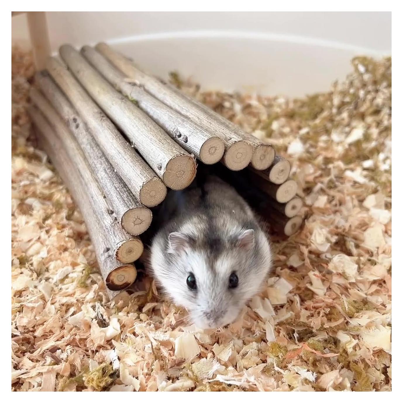 Túnel de Madera Natural para Hámster y Ratón DEMONTALK 15x20cm