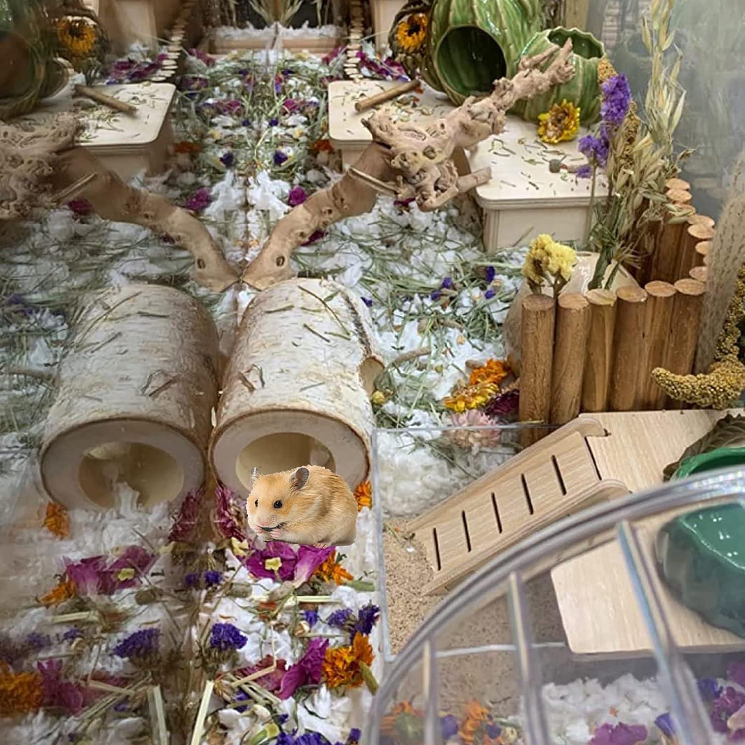 Túnel de Madera Natural para Hámster MUYG - 10 Pcs, 12 cm