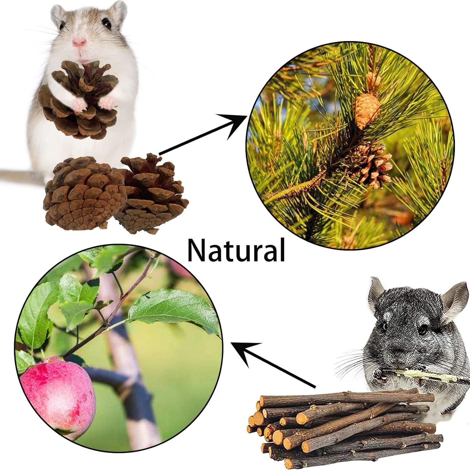 Túnel de Madera Natural para Hámster MUYG - 10 Pcs, 12 cm