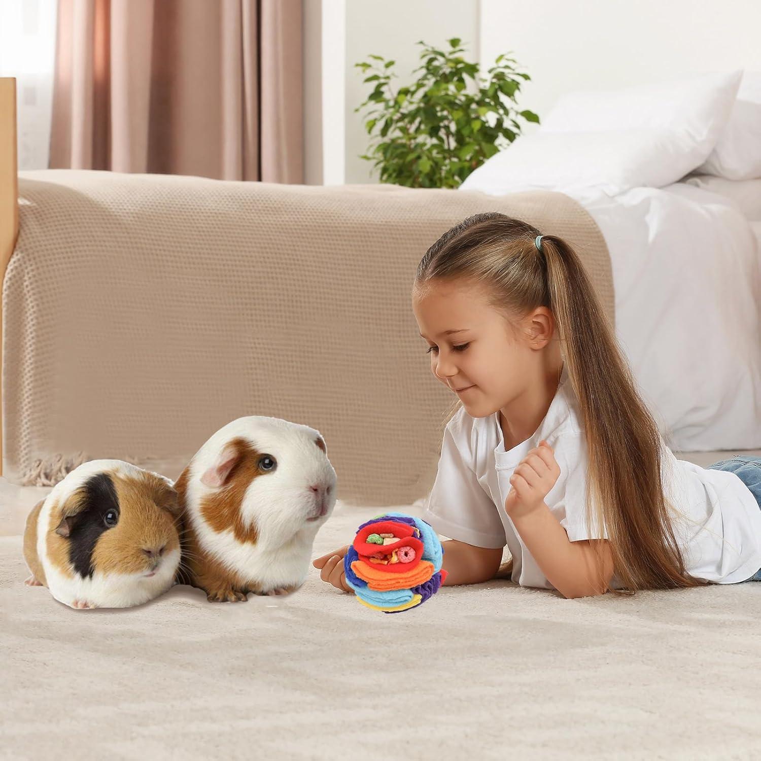 Juguete de Forrajeo para Ratas MinrzPet HDWJ Multicolor