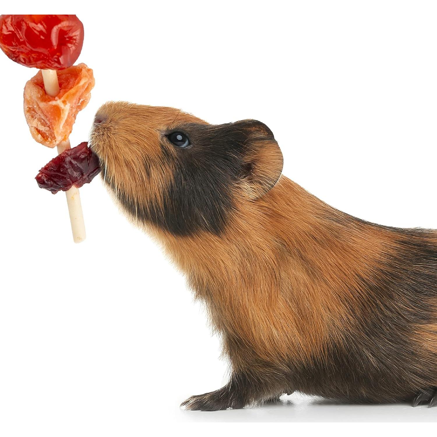 Kabobs de Frutas Wild Harvest para Conejos y Hámsters - 6 Unidades