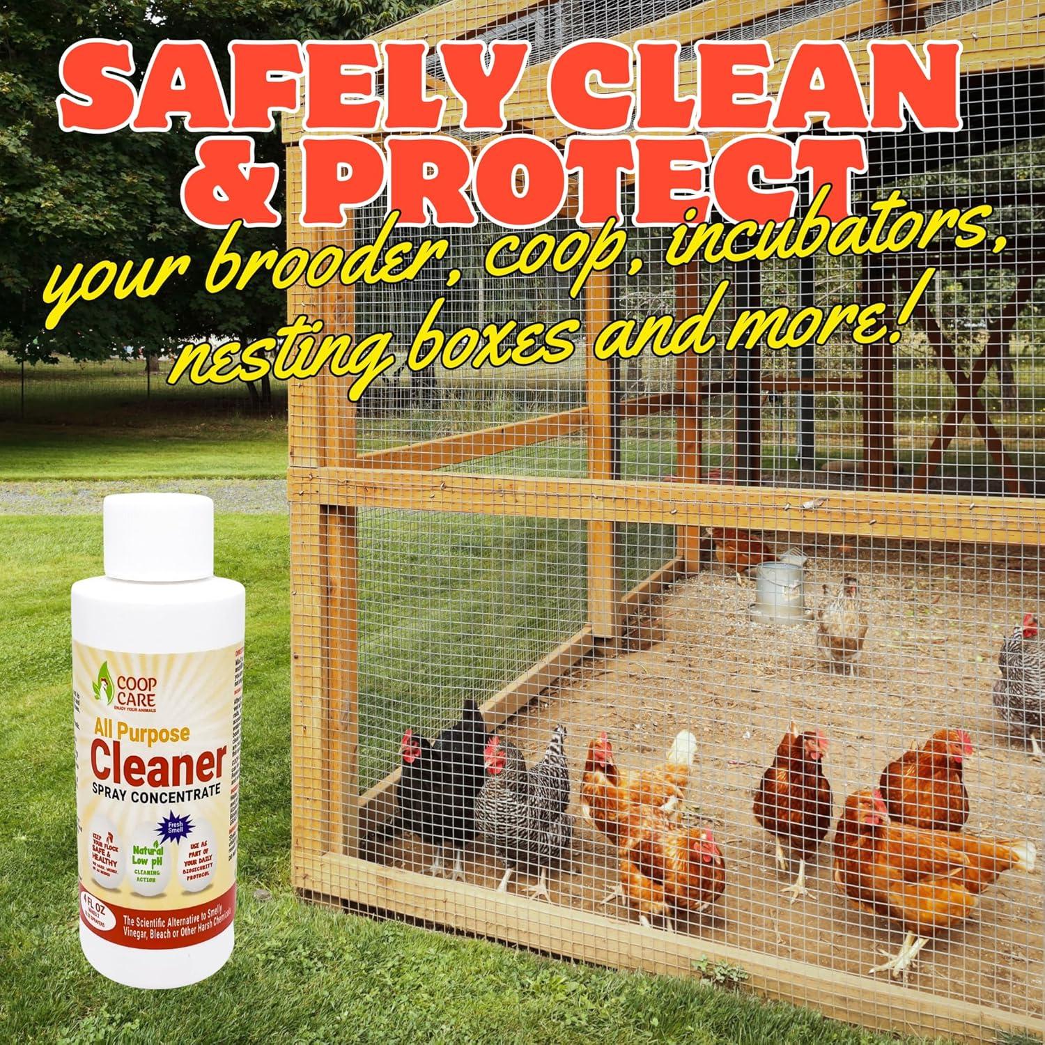 Baño de Polvo Natural Chicken's Choice 2.72 kg para Pollos