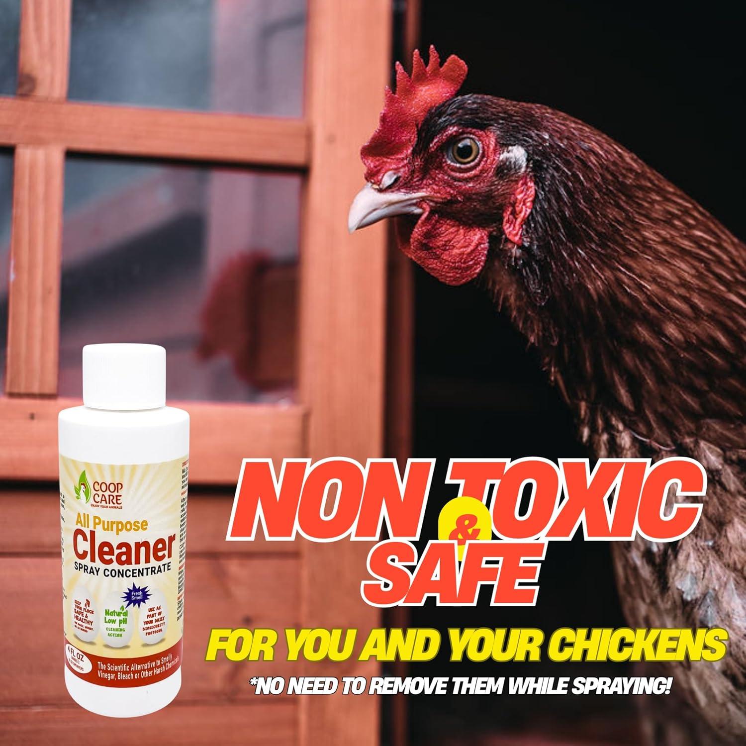 Baño de Polvo Natural Chicken's Choice 2.72 kg para Pollos