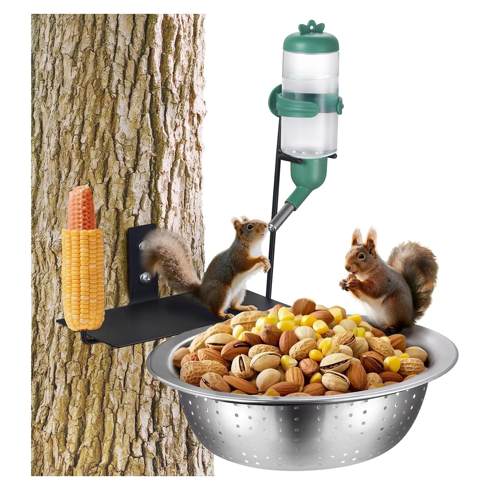 Mesa de Alimentador de Ardillas Karshall con Agua 1.4L