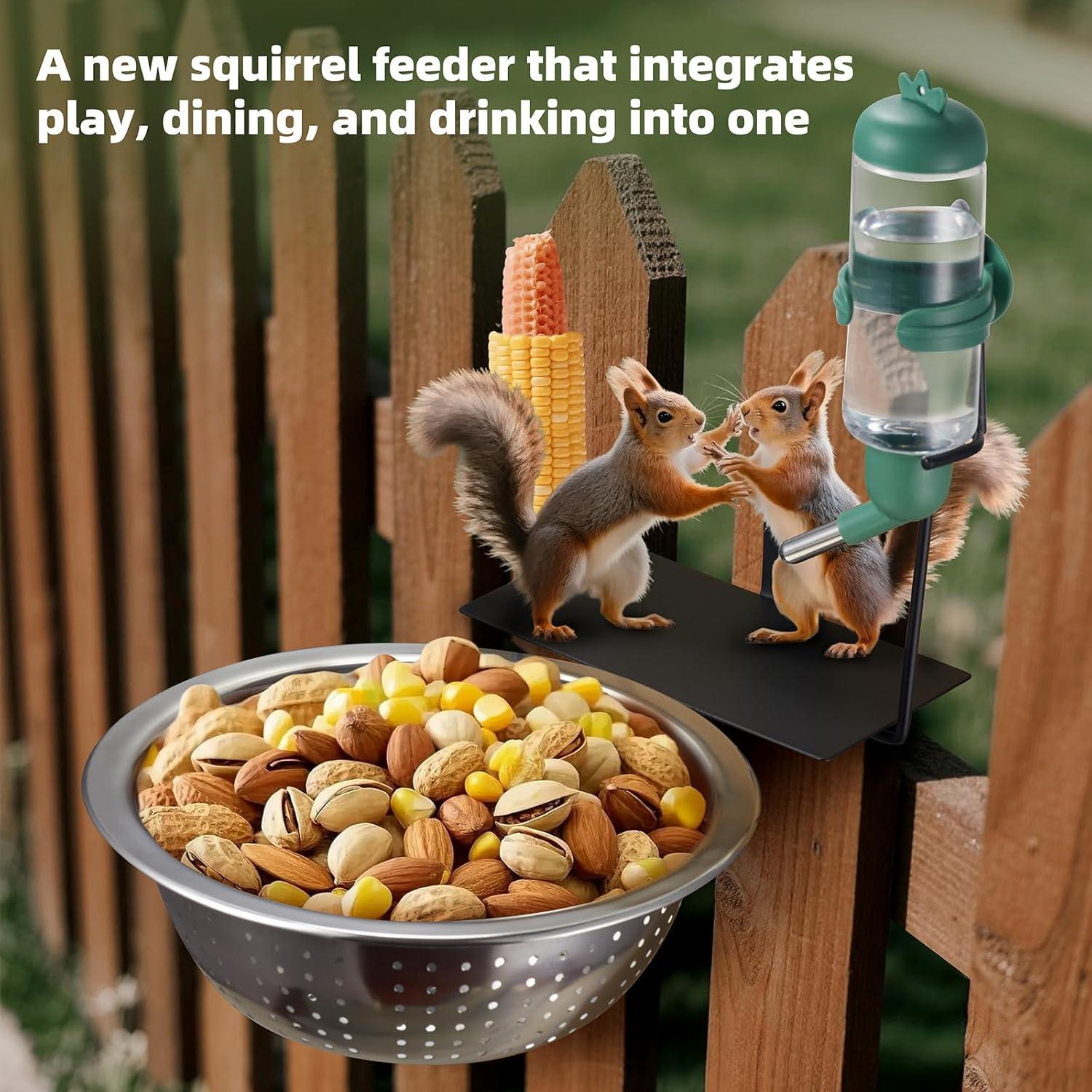Mesa de Alimentador de Ardillas Karshall con Agua 1.4L