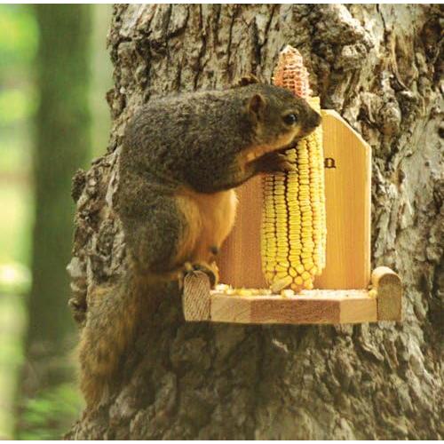 Alimentador de Plataforma para Ardillas Audubon Woodlink