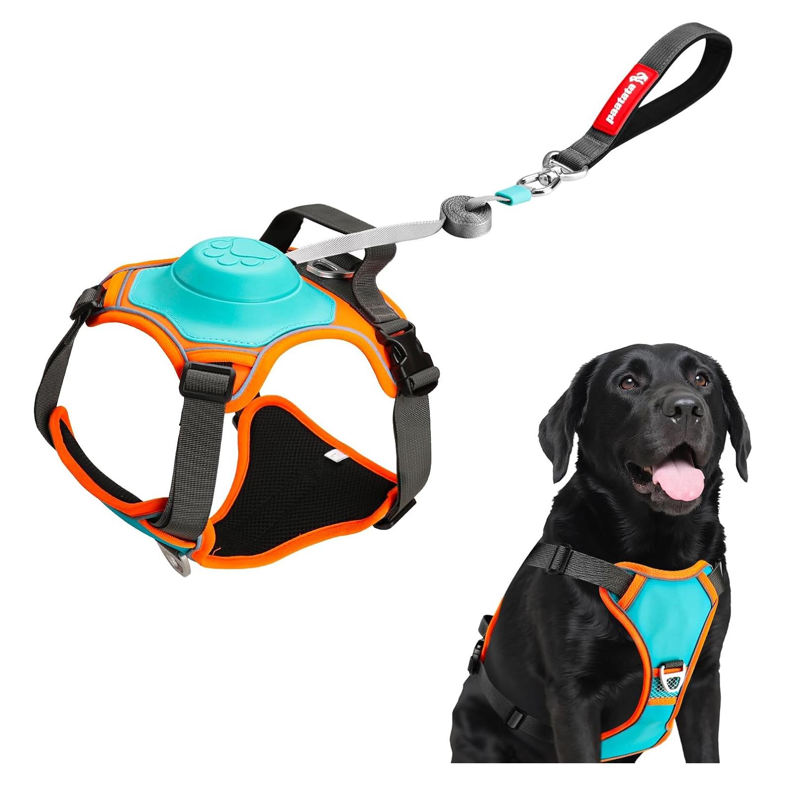 Arnés para Perros Paatata L Retráctil 2 en 1 con Correa