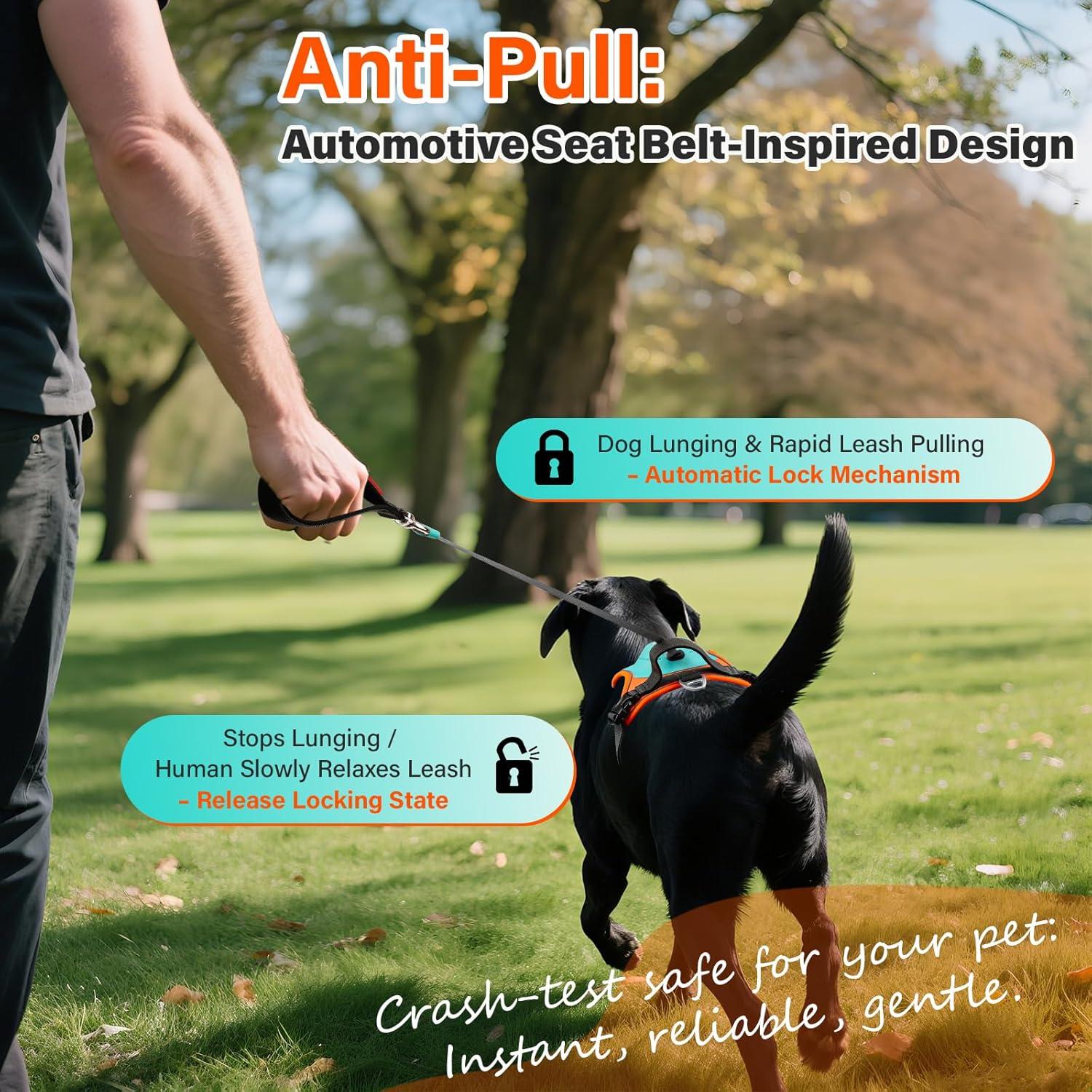 Arnés para Perros Paatata L Retráctil 2 en 1 con Correa