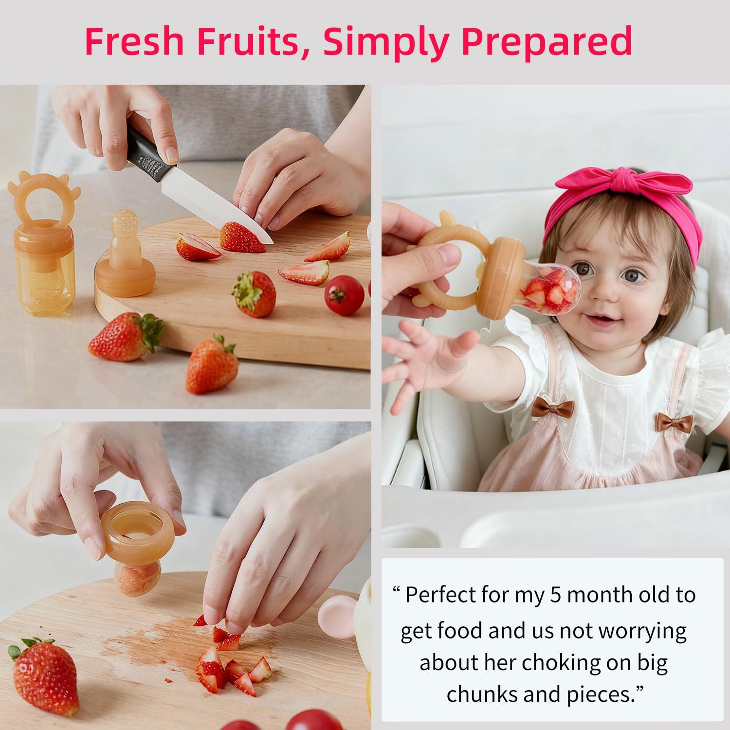 Alimentador de Frutas para Bebés Wishbird BF - Silicona BPA Free