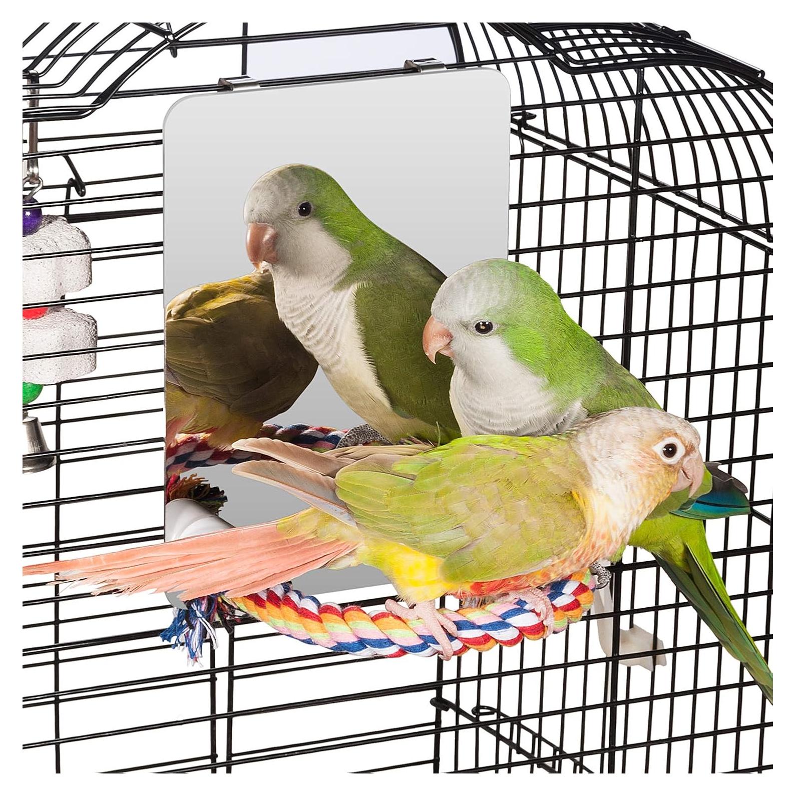 Espejo para Aves Colorday 13x18 cm con Percha de Cuerda