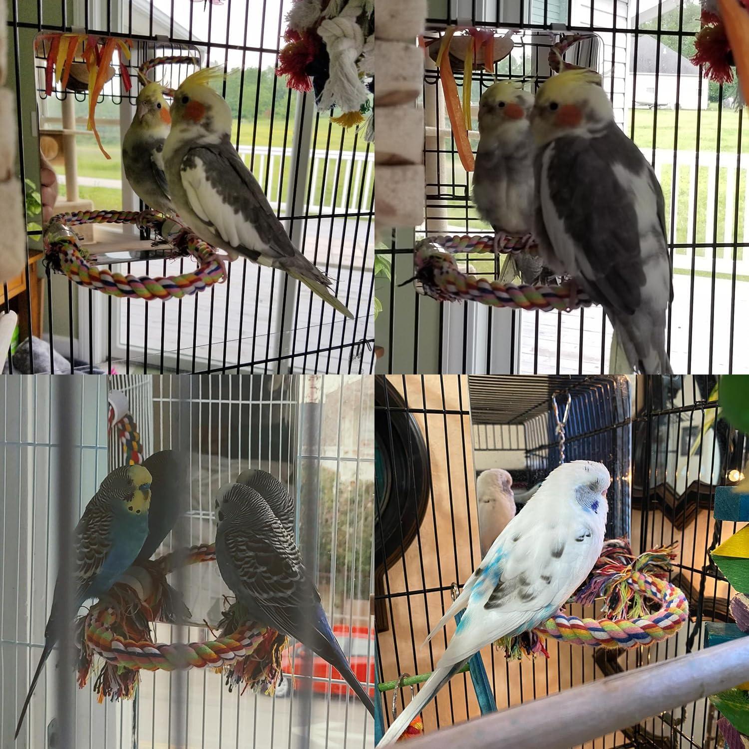 Espejo para Aves Colorday 13x18 cm con Percha de Cuerda