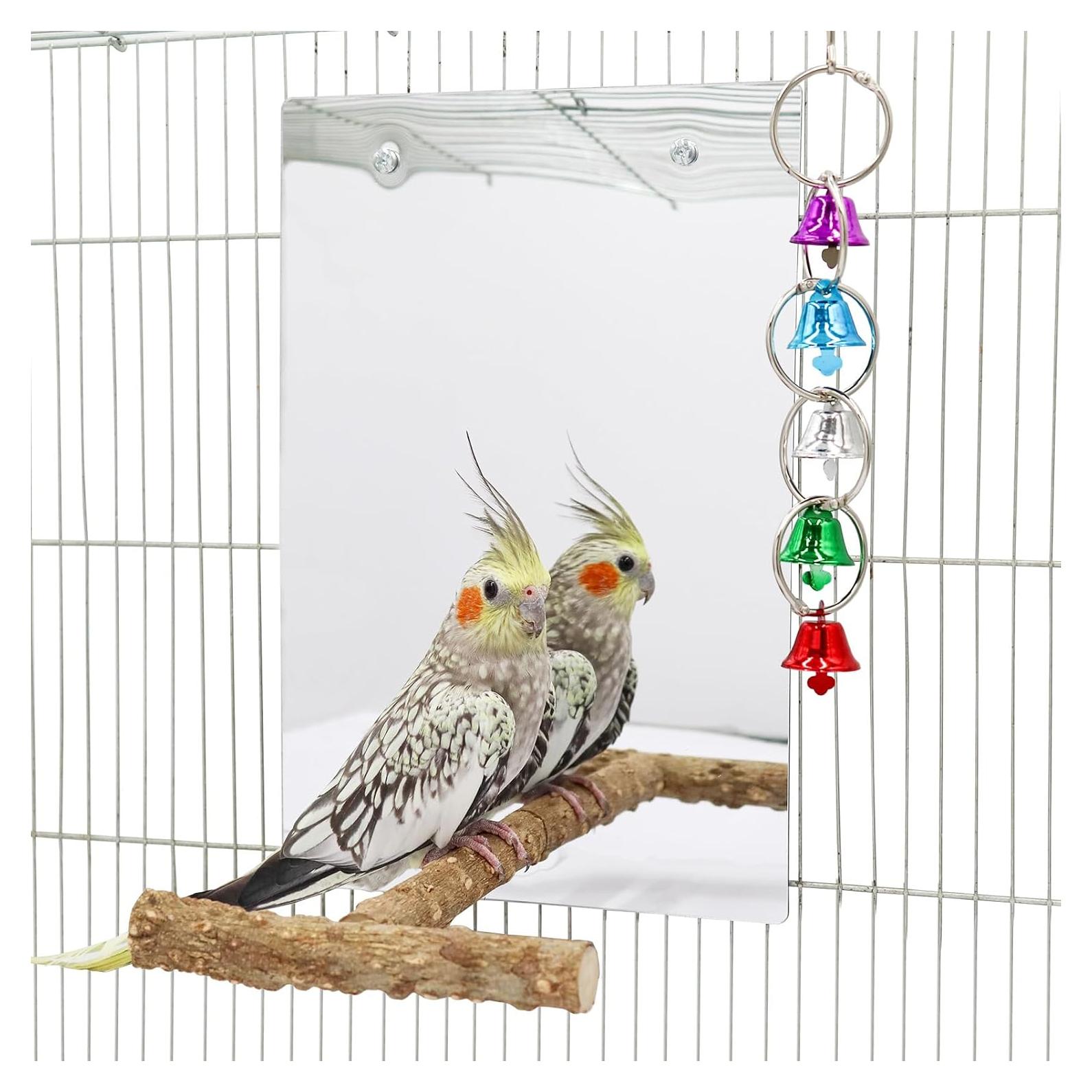 Juguete de Espejo Grande para Aves Oooct 30x20cm con Campana