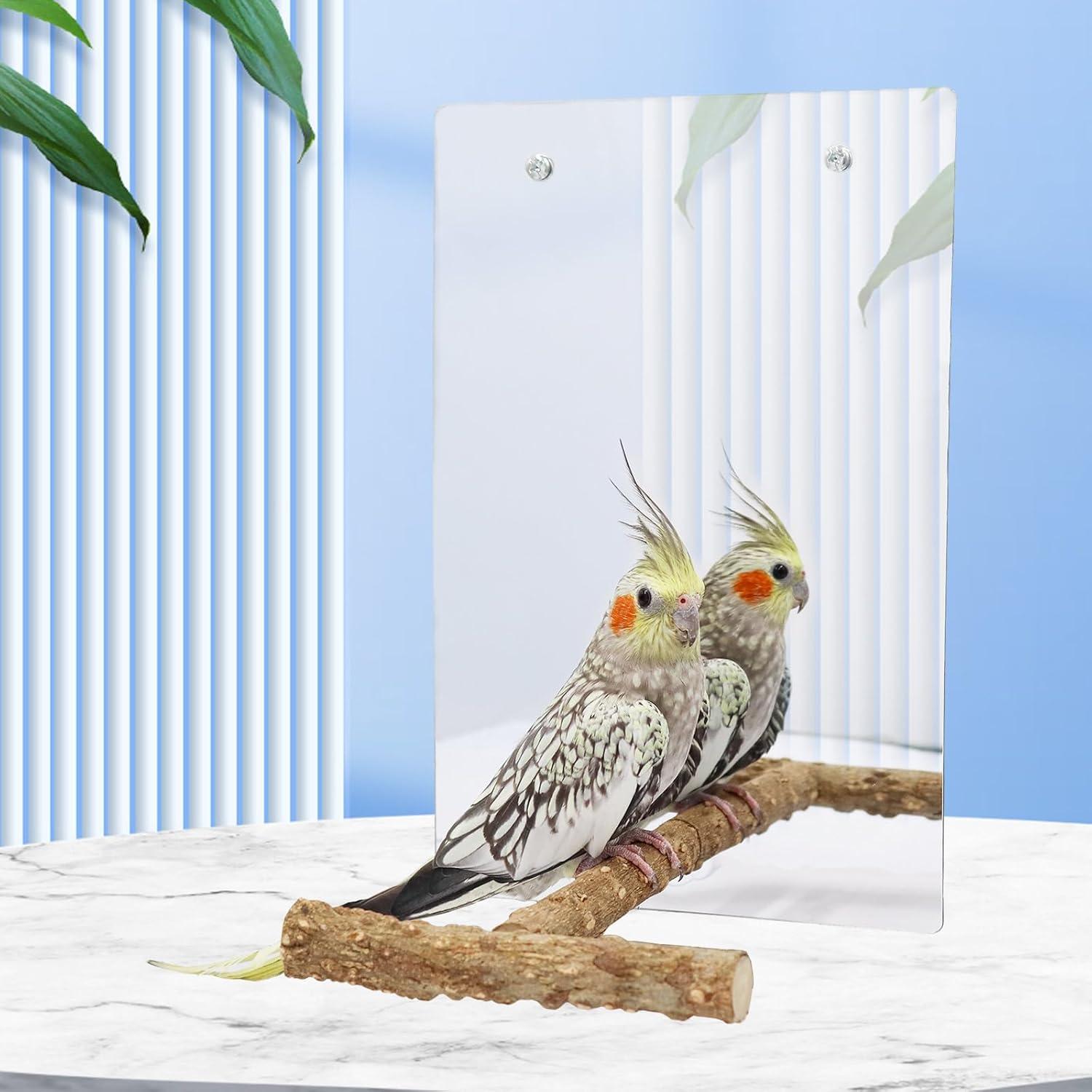 Juguete de Espejo Grande para Aves Oooct 30x20cm con Campana