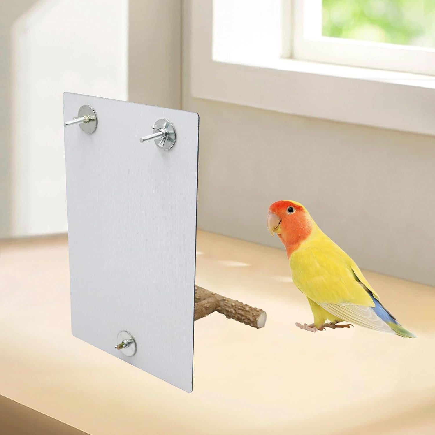 Juguete de Espejo Grande para Aves Oooct 30x20cm con Campana