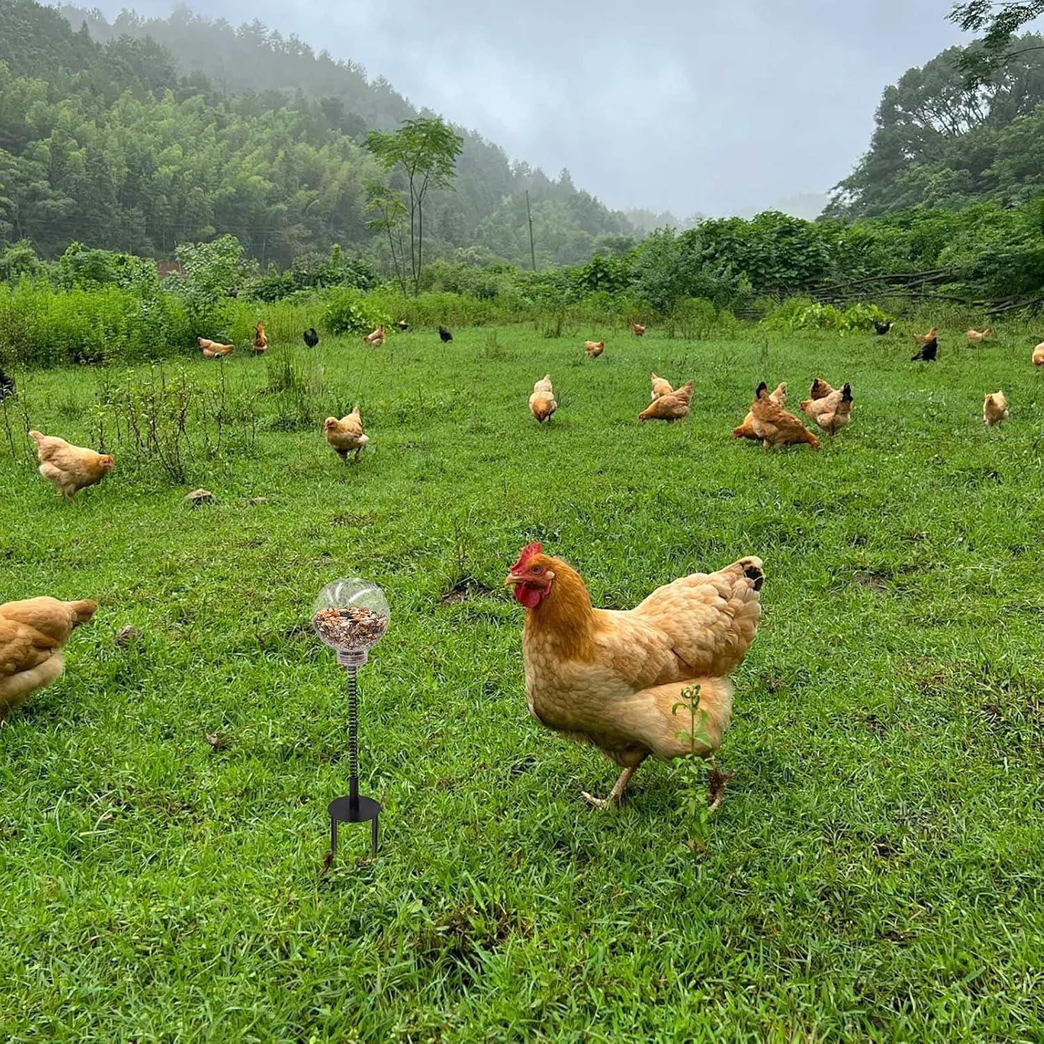 Juguetes de Enriquecimiento para Pollos Oooct - 2 Paquete