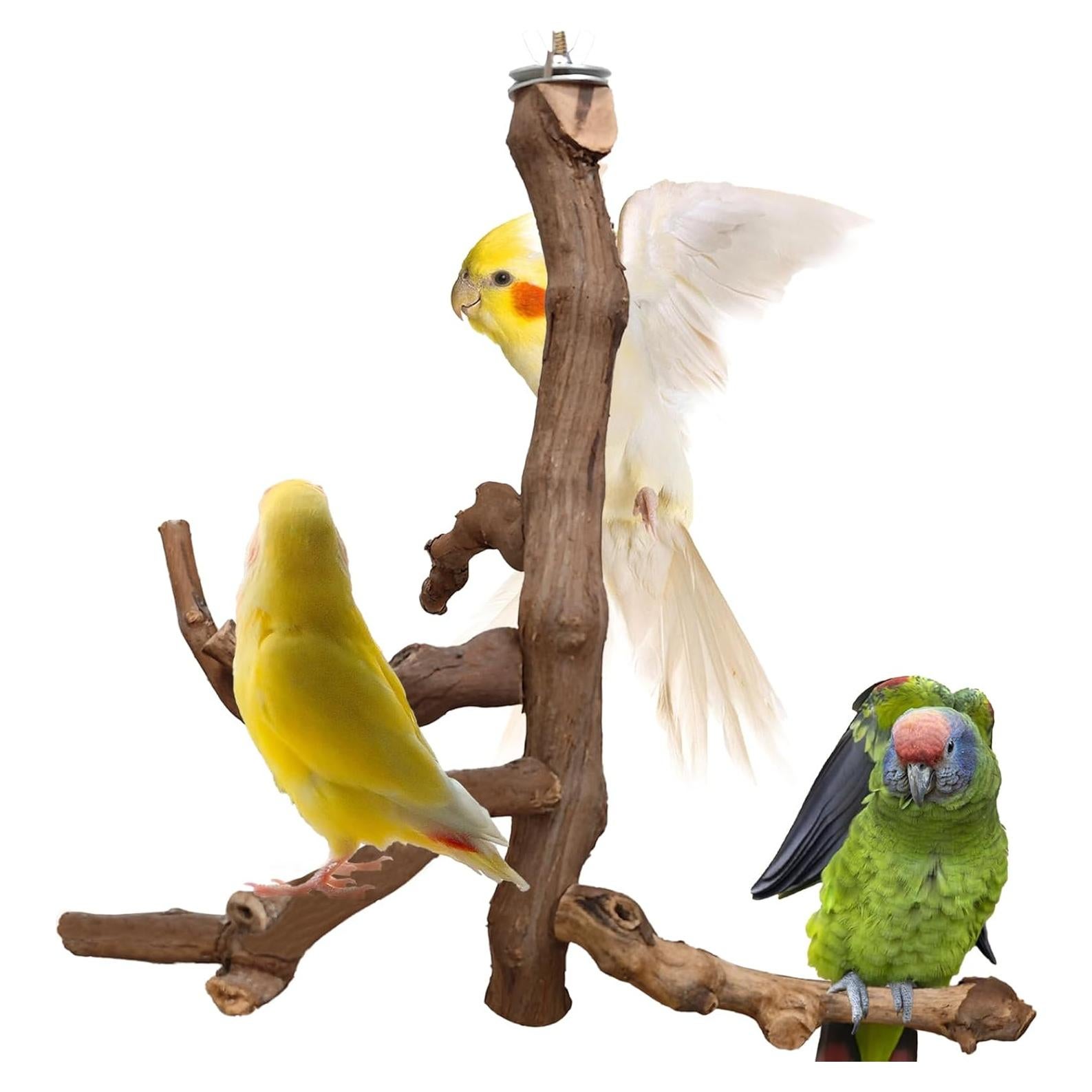 Soporte Natural para Aves Hamiledyi - Percha de Escalada 29 cm