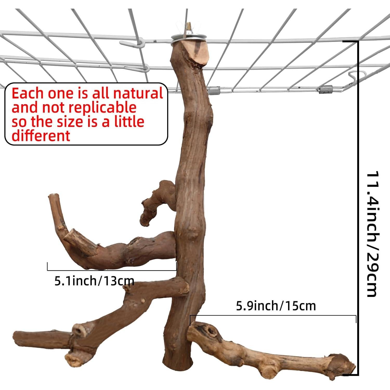 Soporte Natural para Aves Hamiledyi - Percha de Escalada 29 cm