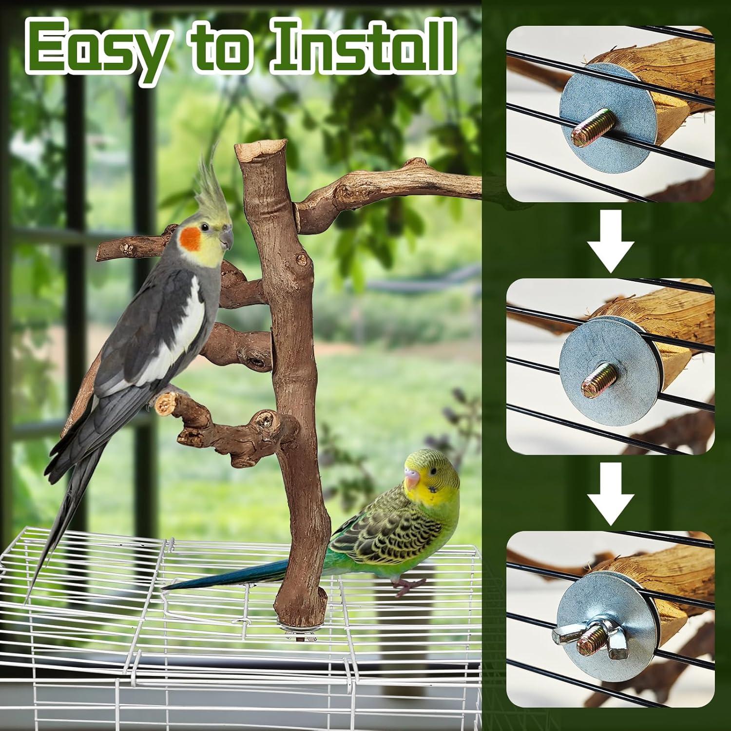 Soporte Natural para Aves Hamiledyi - Percha de Escalada 29 cm