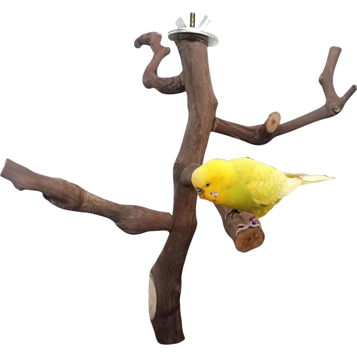 Soporte Natural para Aves Hamiledyi - Percha de Escalada 29 cm