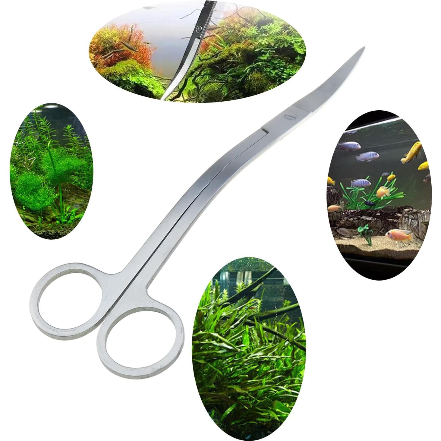 Tijeras de Olas DGZZI 25cm Acero Inoxidable para Acuarios