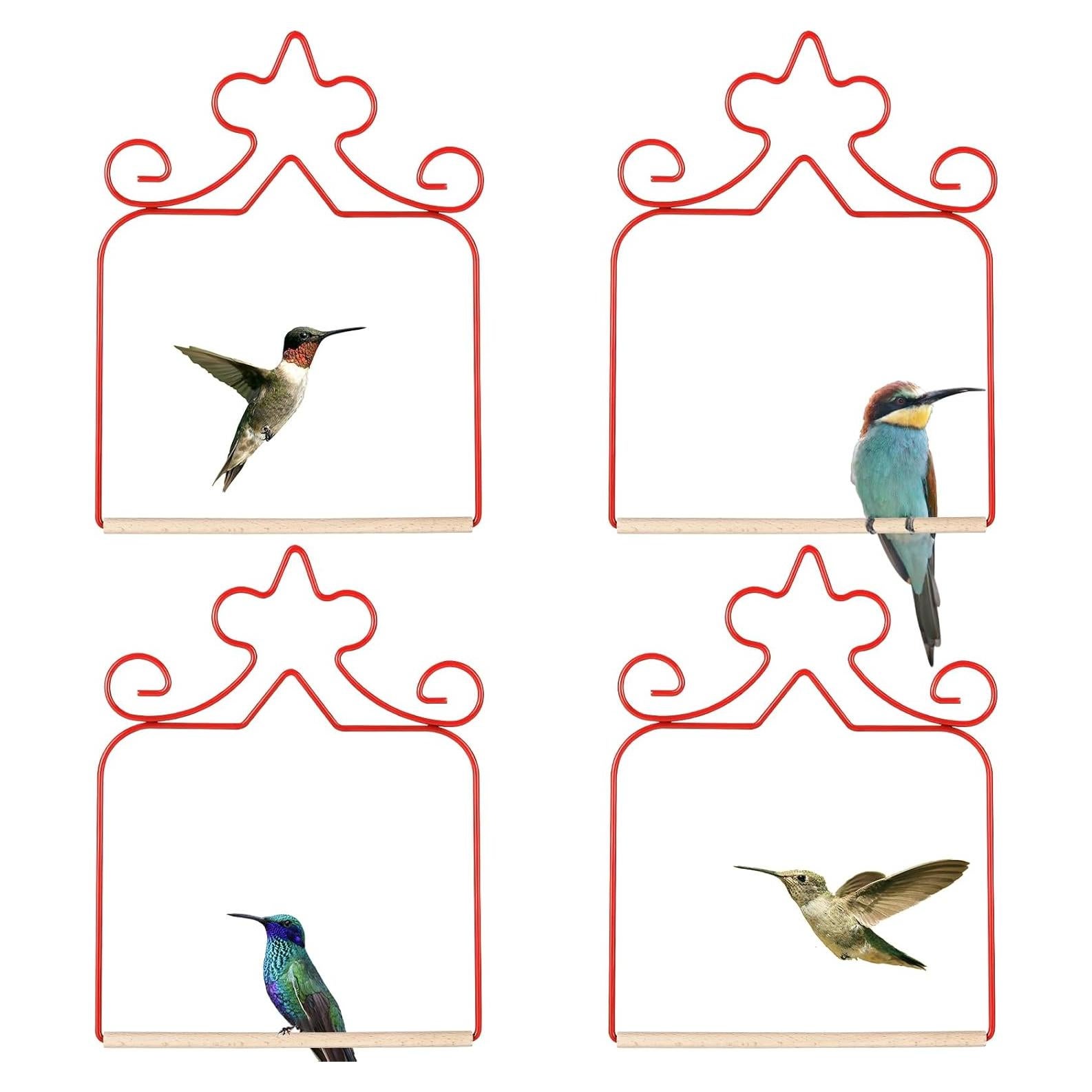 Paquete de 4 columpios para colibríes Eyrosa, rojos, 11.4 cm