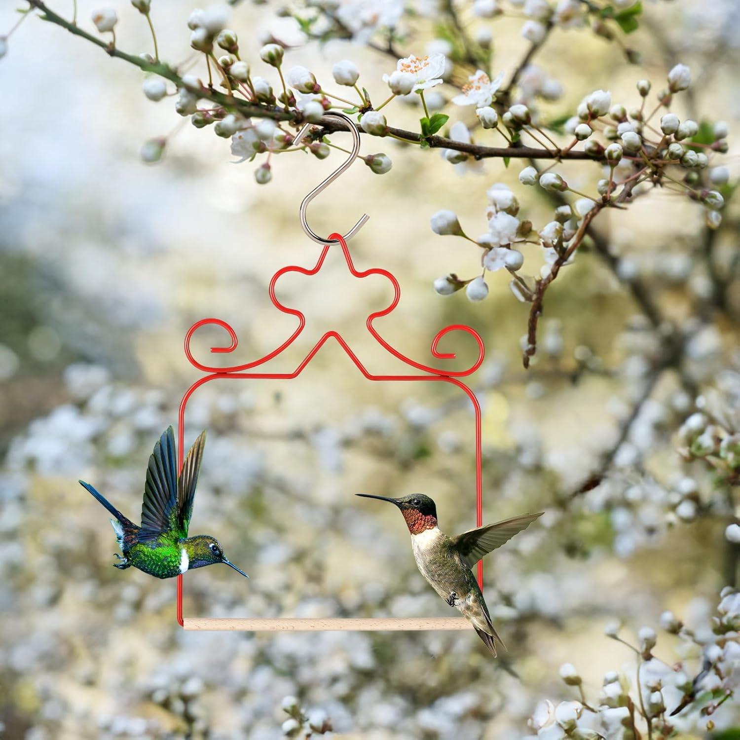 Paquete de 4 columpios para colibríes Eyrosa, rojos, 11.4 cm