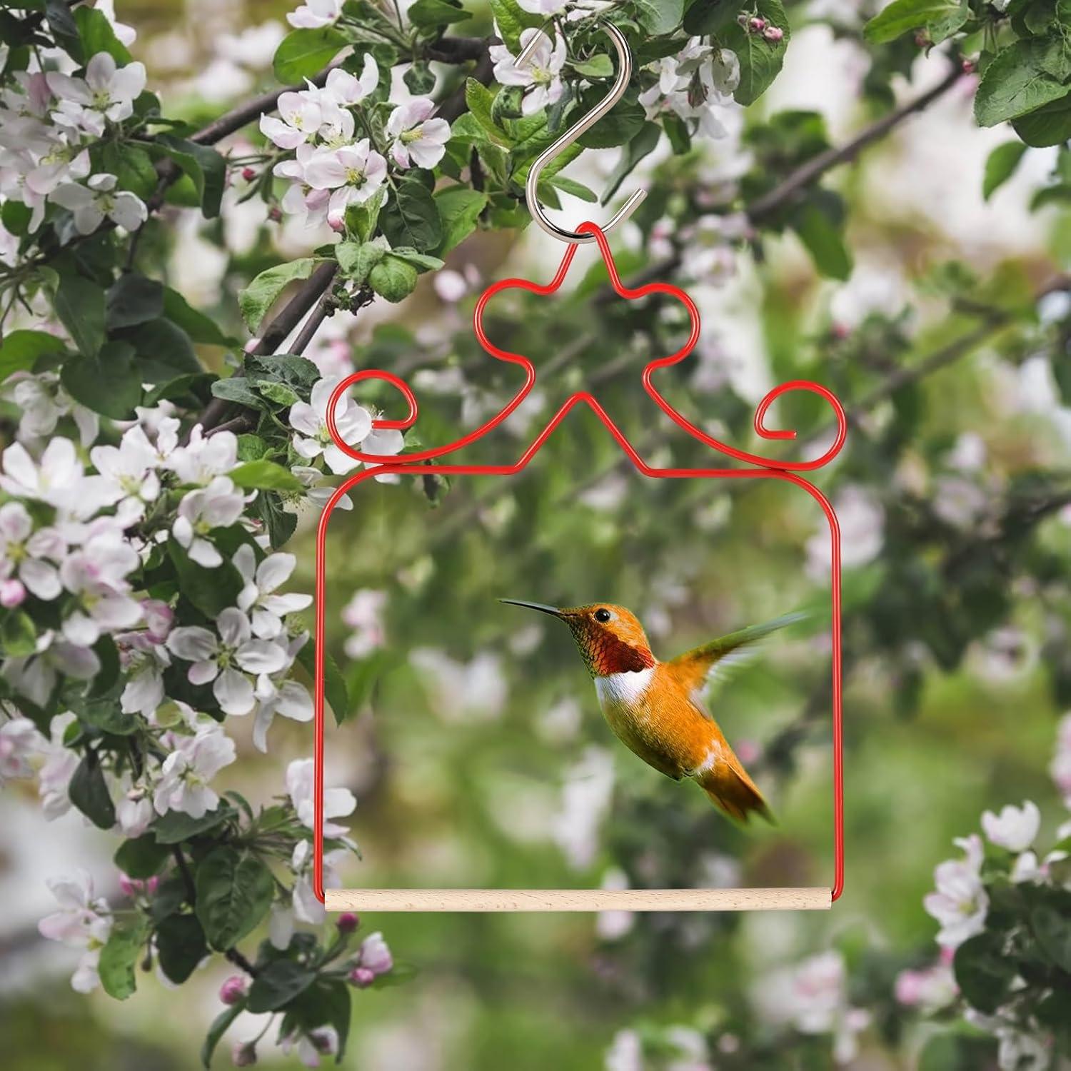 Paquete de 4 columpios para colibríes Eyrosa, rojos, 11.4 cm