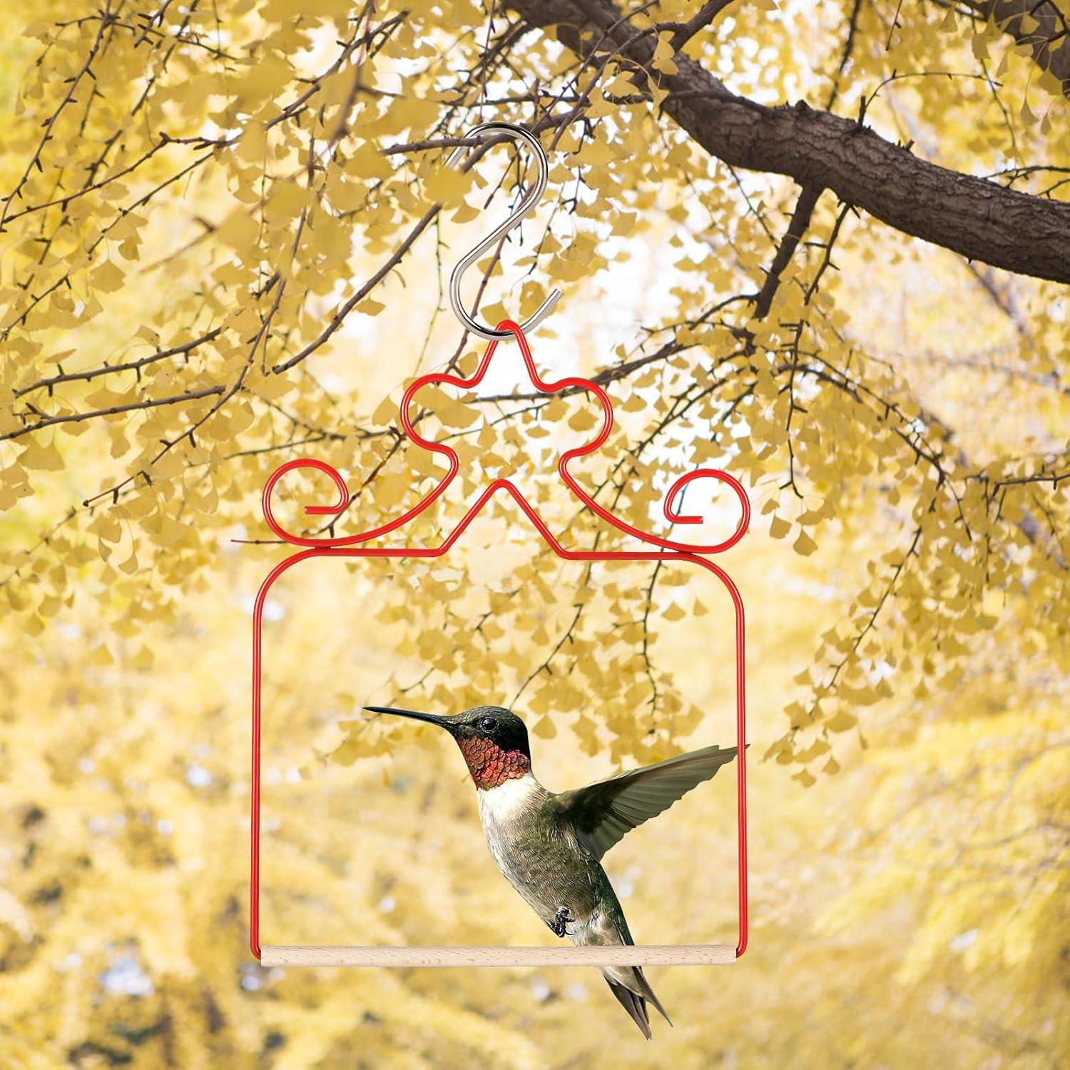 Paquete de 4 columpios para colibríes Eyrosa, rojos, 11.4 cm