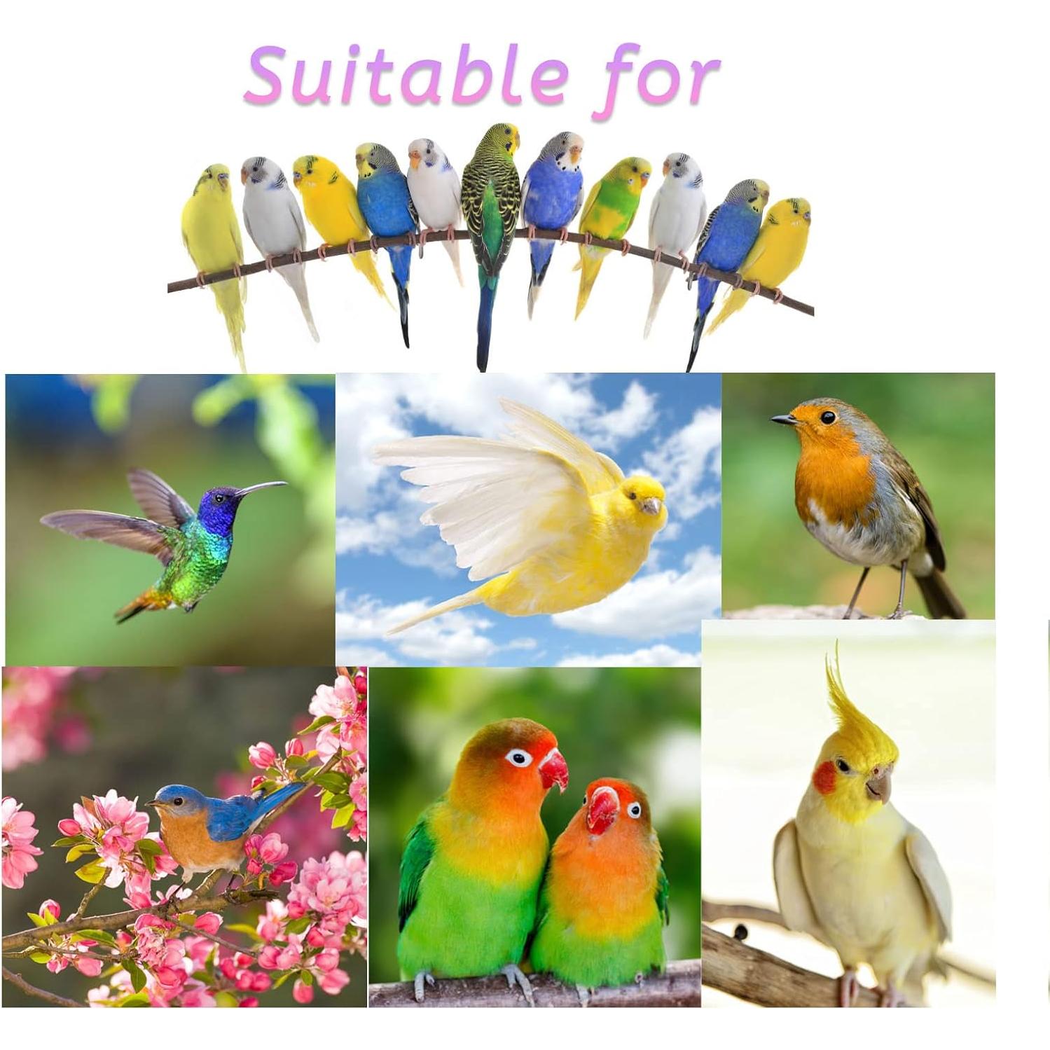 Alfombra de Hierba Marina para Aves Kathson 40x17cm 2 Pcs