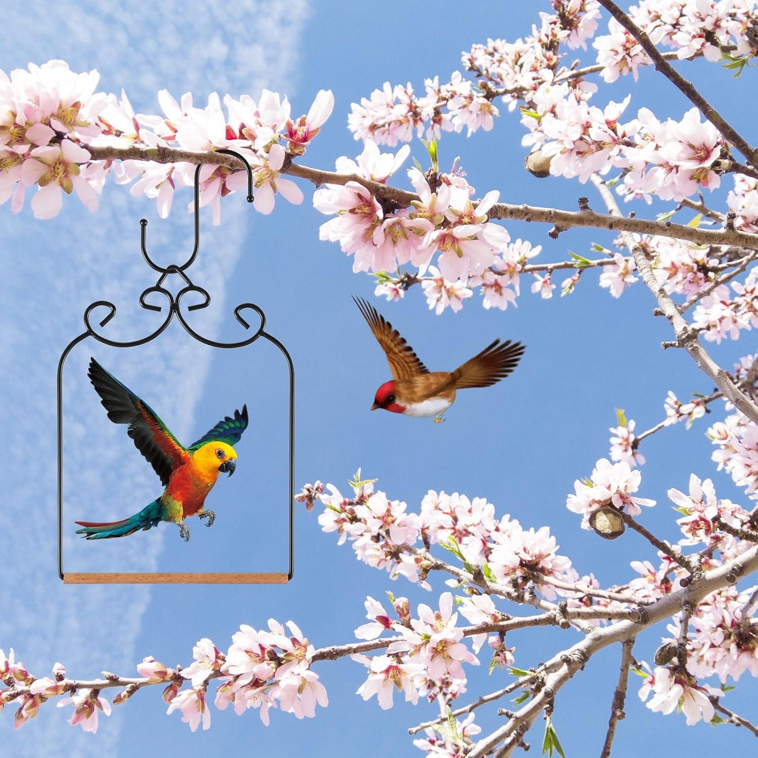 Paquete de 2 Columpios para Colibríes Skrfren - Negro