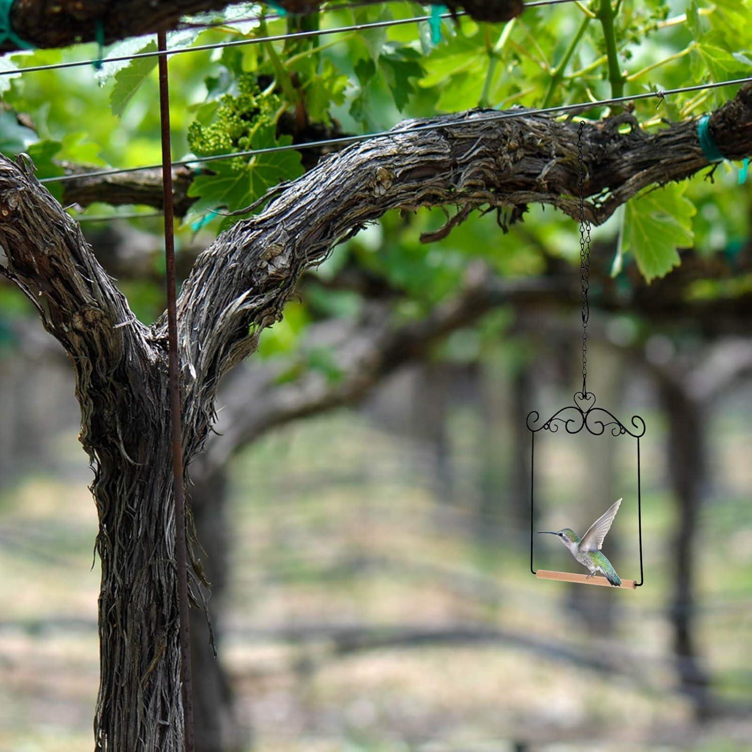 Columpios para Colibríes Hotop - 2 Pcs con Estructura Metal y Madera