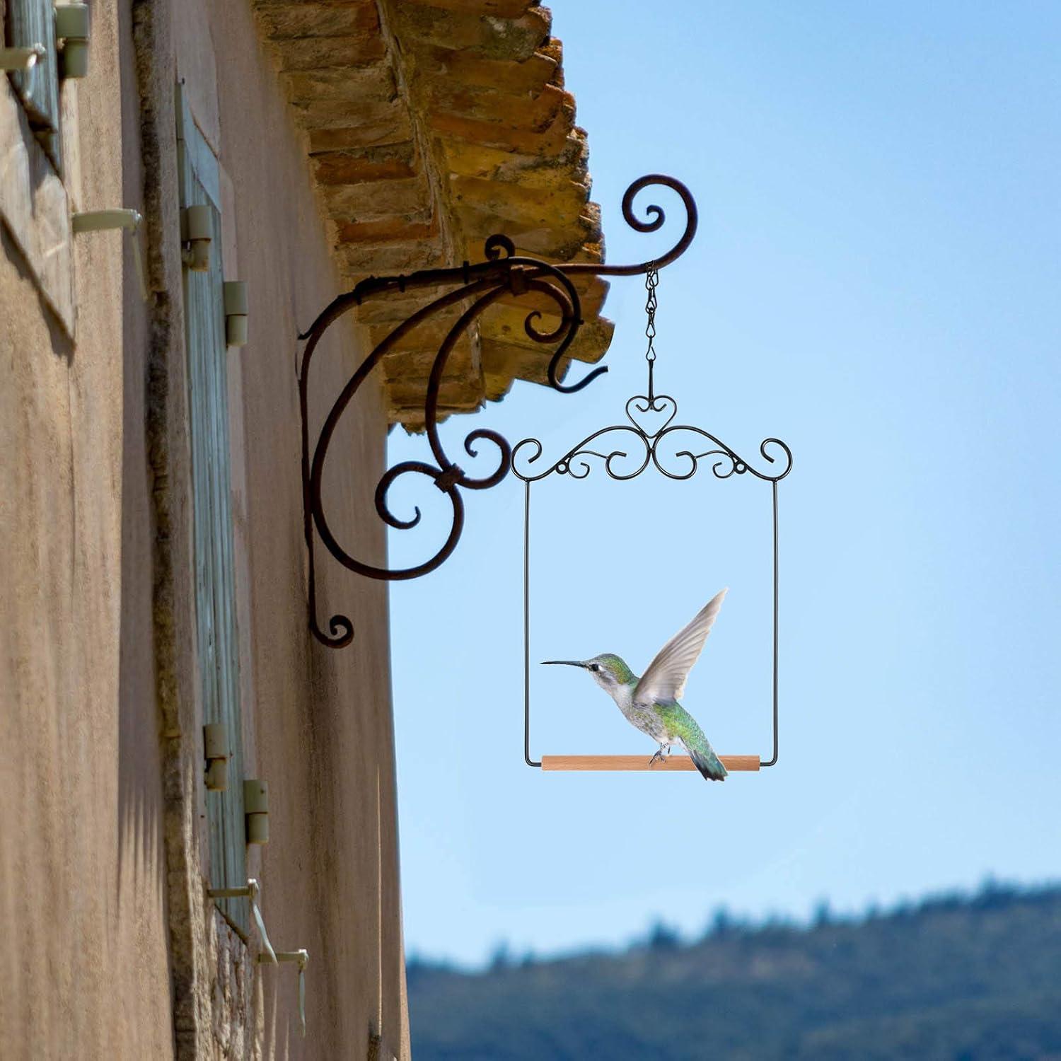 Columpios para Colibríes Hotop - 2 Pcs con Estructura Metal y Madera